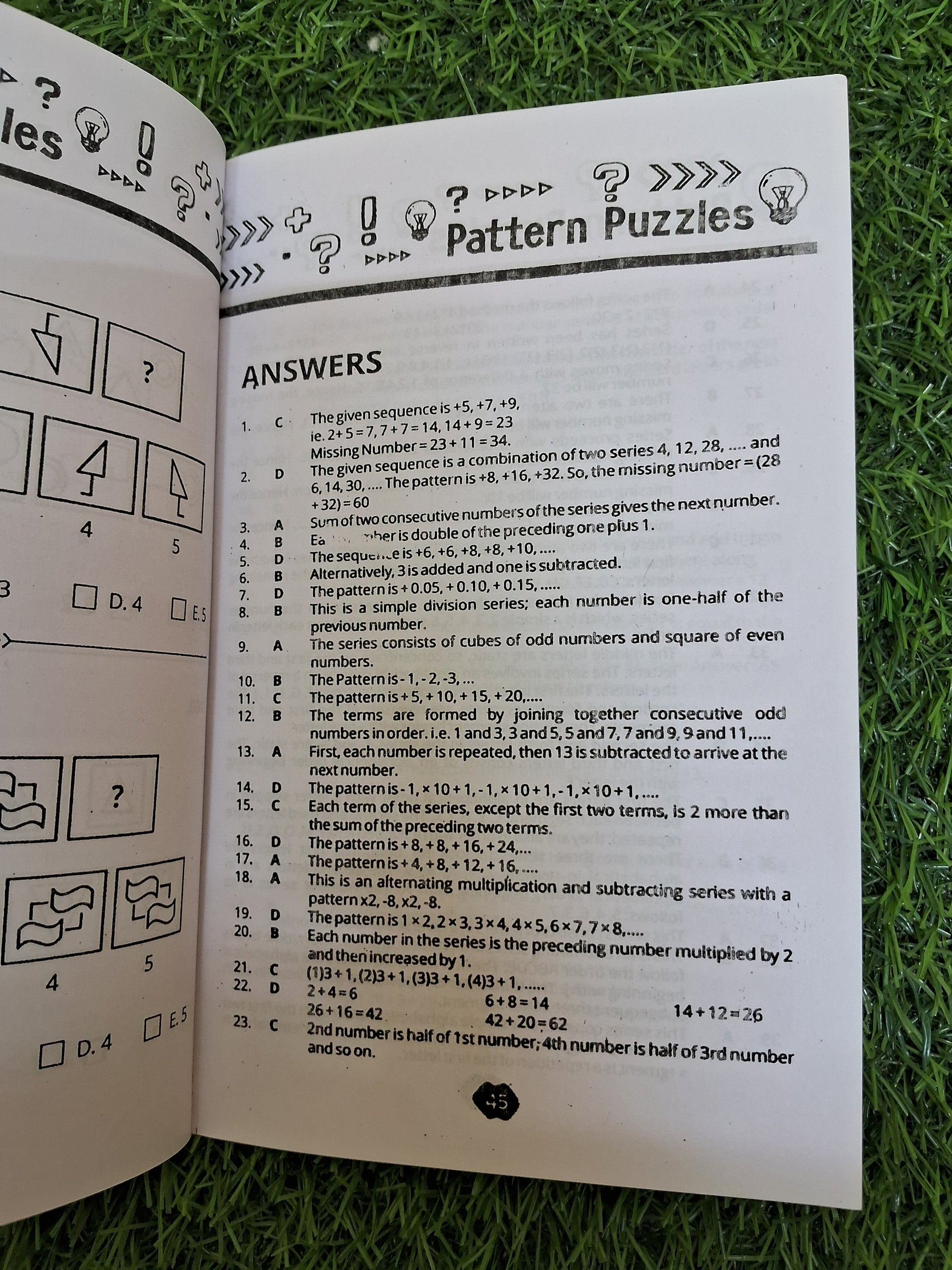 Pattern puzzles Book