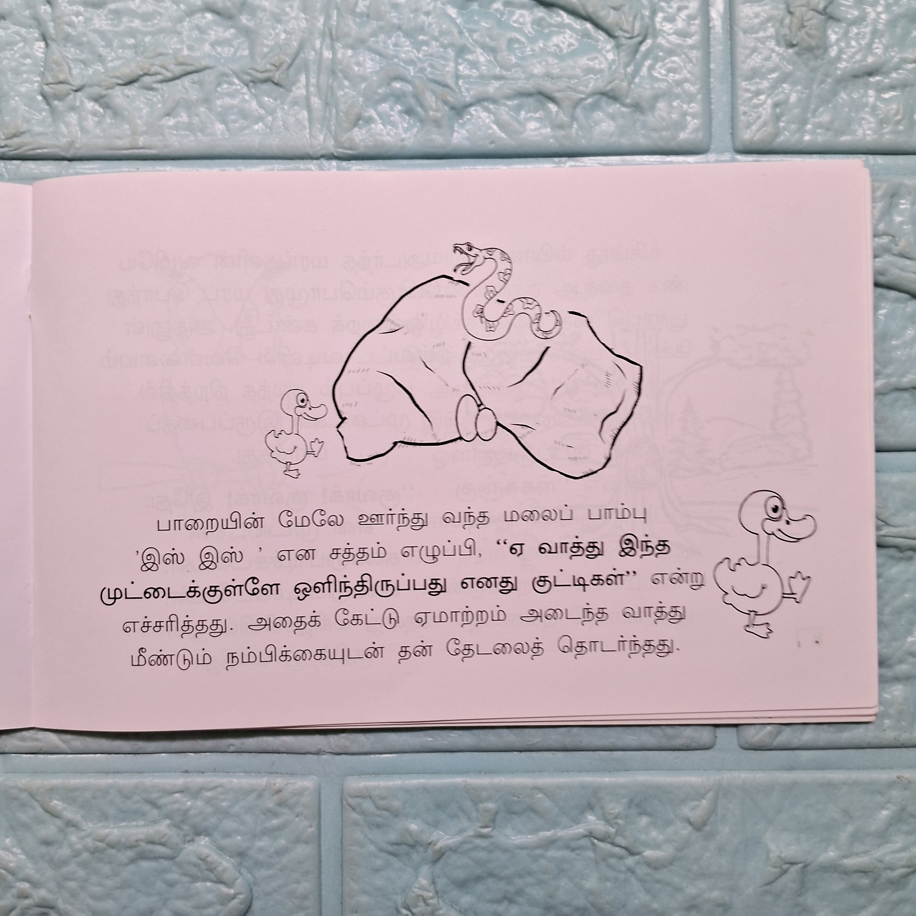 முட்டைக்குள்ளே ஒளிந்திருப்பது யாரு ?