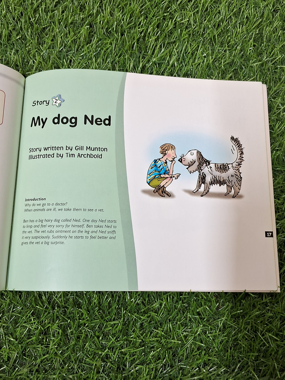 Phonics - On the Bus and My Dog Ned - 2 stories in 1 -  Excellent Condition Paperback