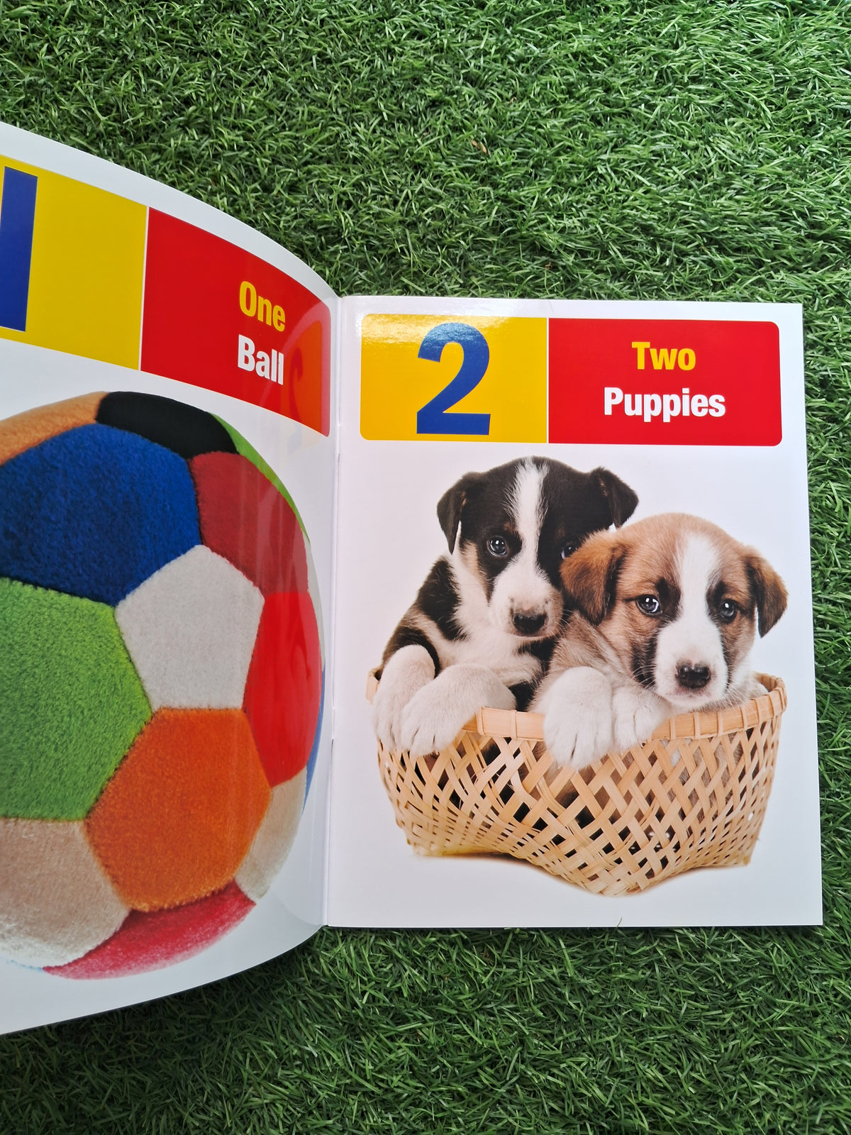 My First Book of Numbers - Large Paperback- Laminated