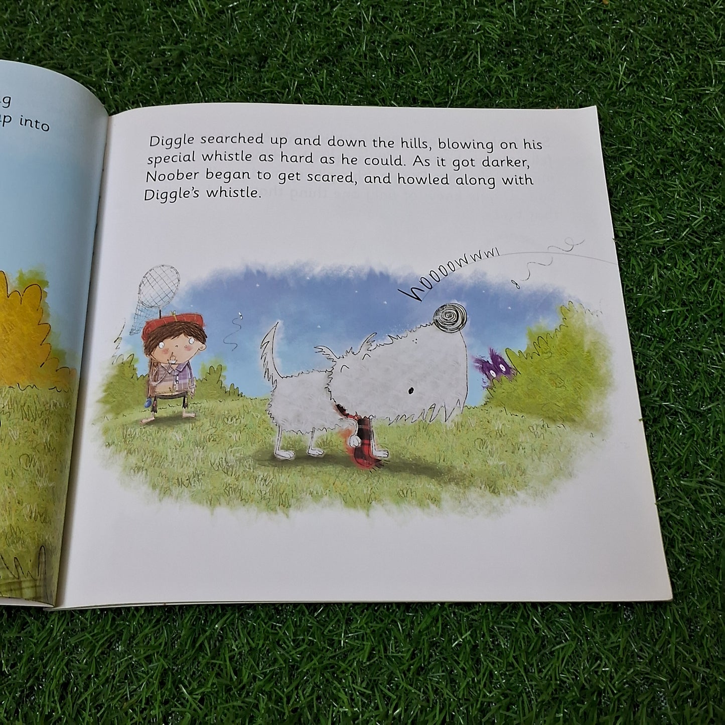 The day the googlynipper Escaped - Very Good Condition Paperback