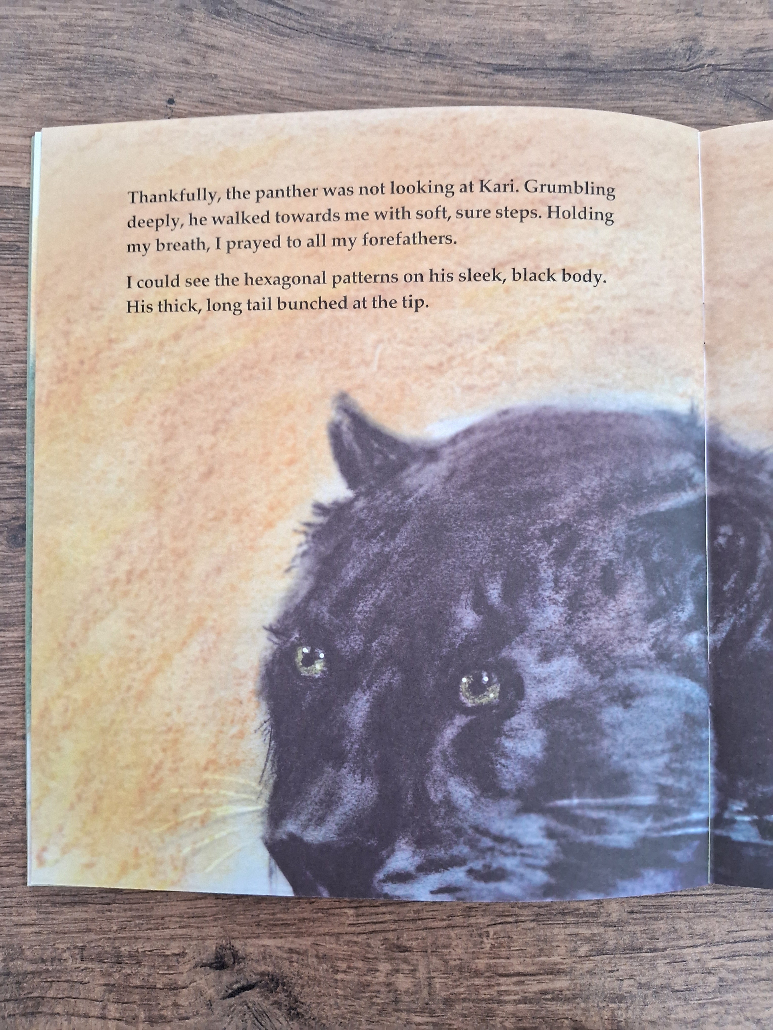 Black Panther - English Picture Book
