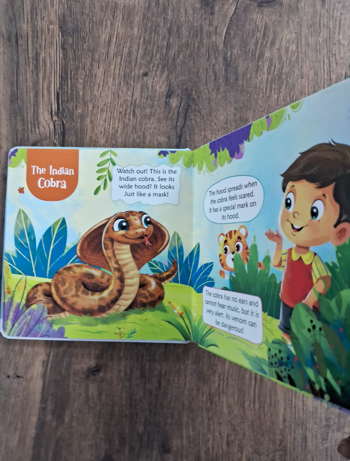 Wildlife of India - Padded Board Book