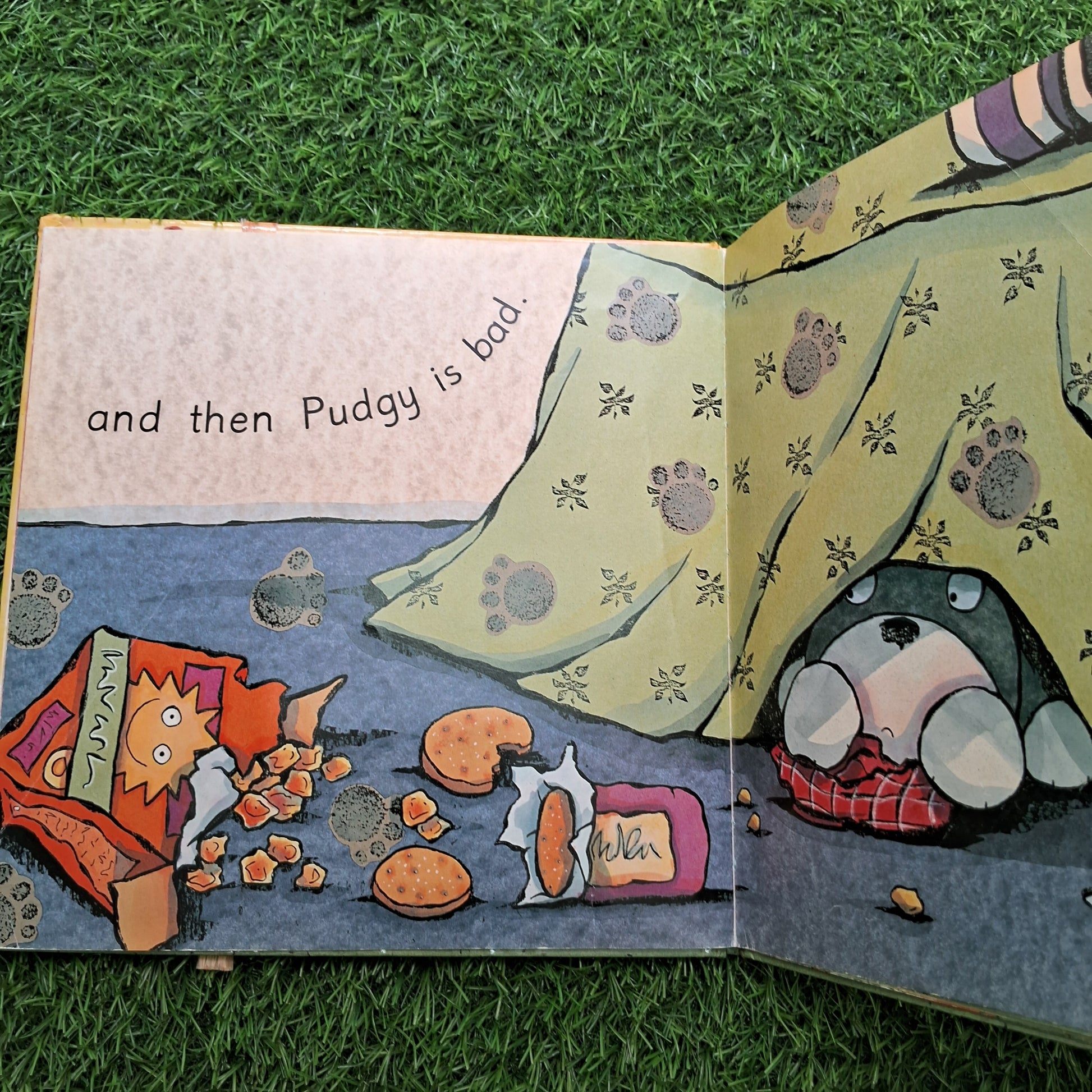 Pudgy - Good Condition Hardcover