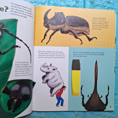 How Big ? Animals