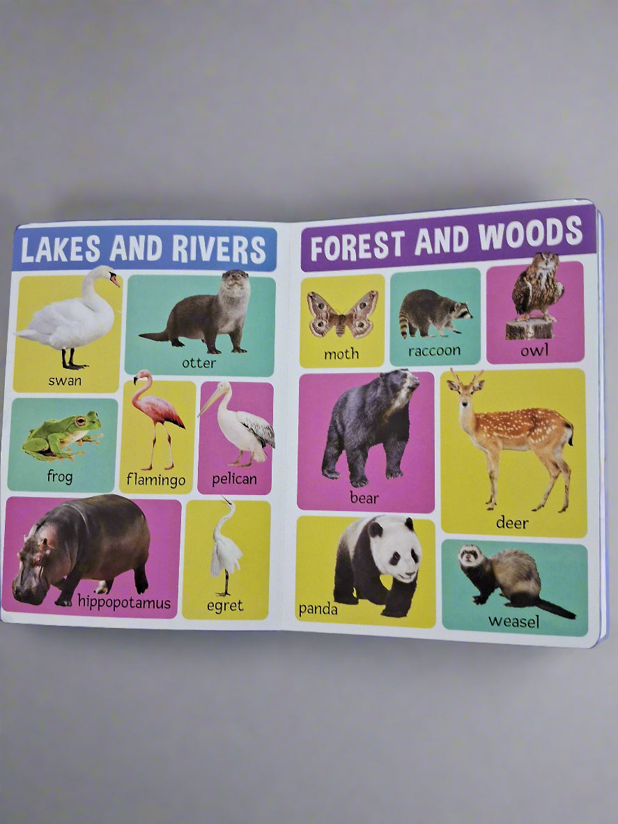 My First 100 Animals Board Book