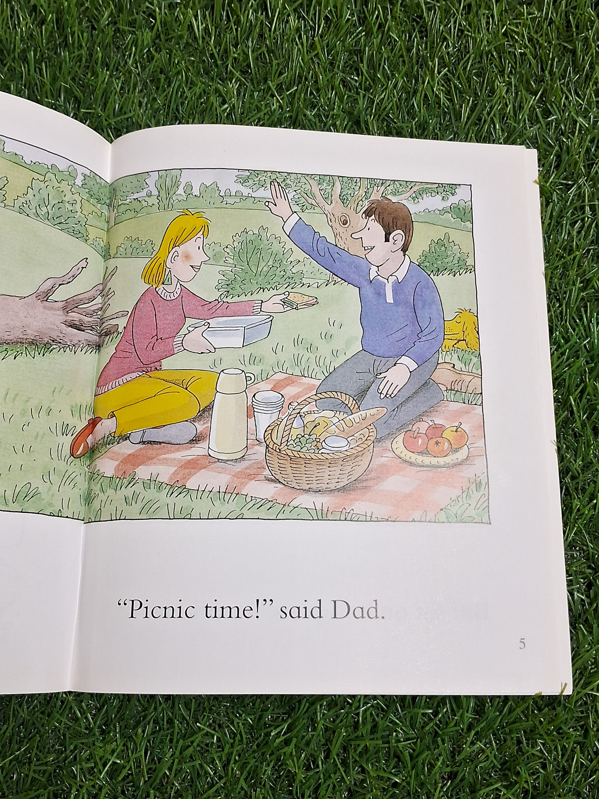 READ WITH BIFF CHIP & KIPPER - PICNIC TIME - Excellent Condition Paperback