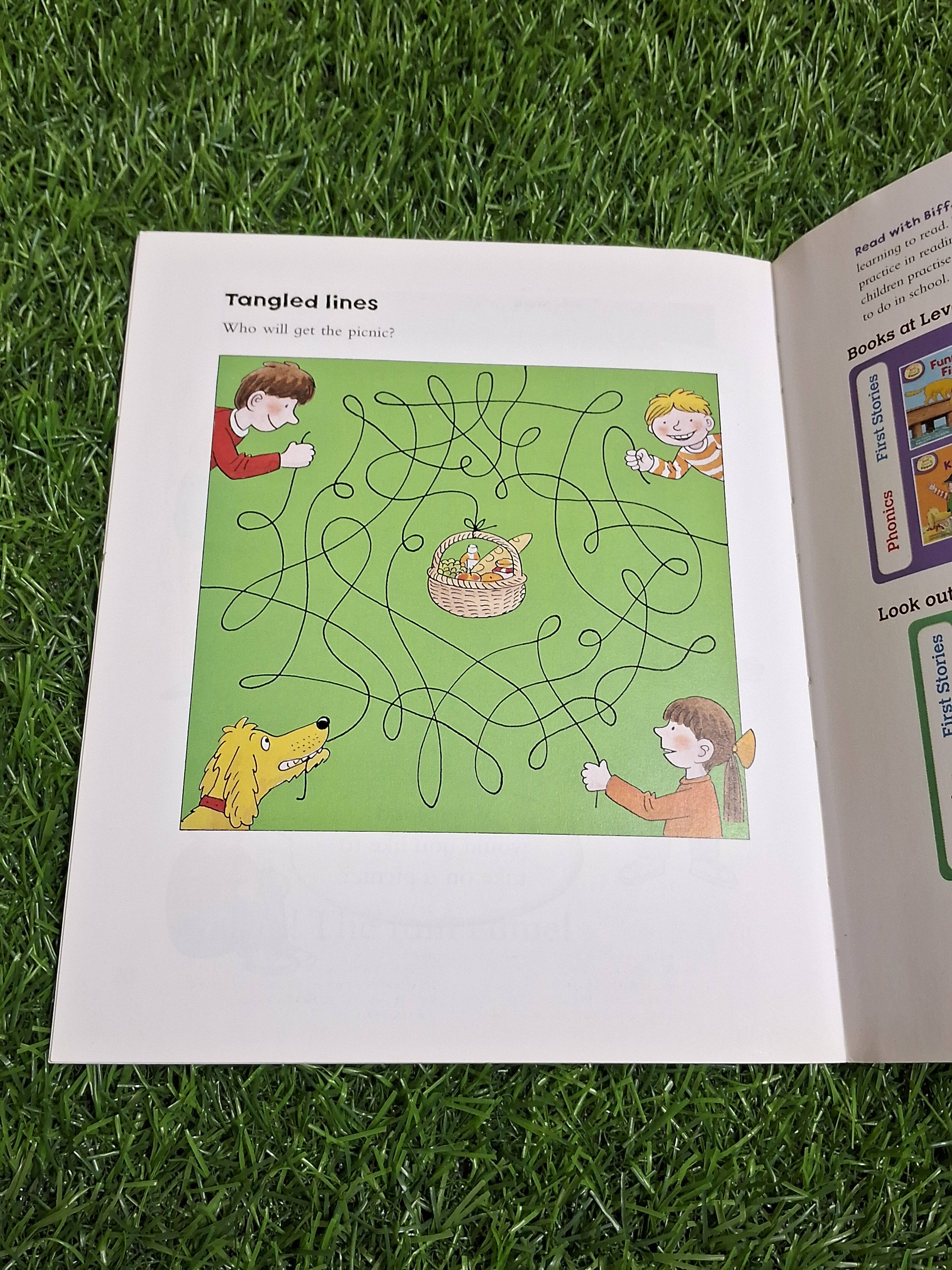 READ WITH BIFF CHIP & KIPPER - PICNIC TIME - Excellent Condition Paperback