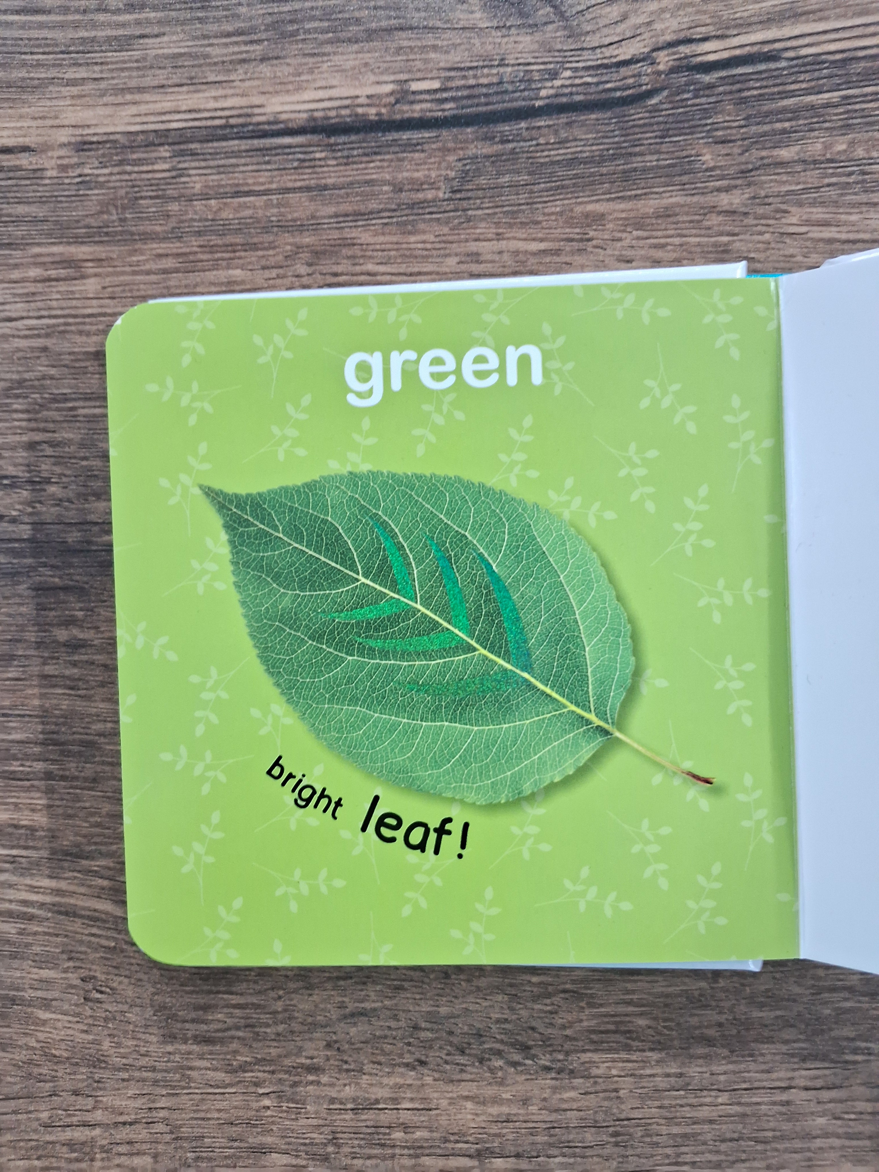 My First Book of Touch and Feel - Colors and Shapes