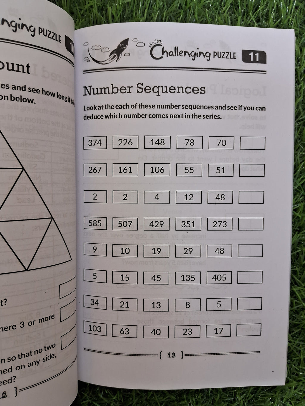 Challenging puzzles - Challenging Books