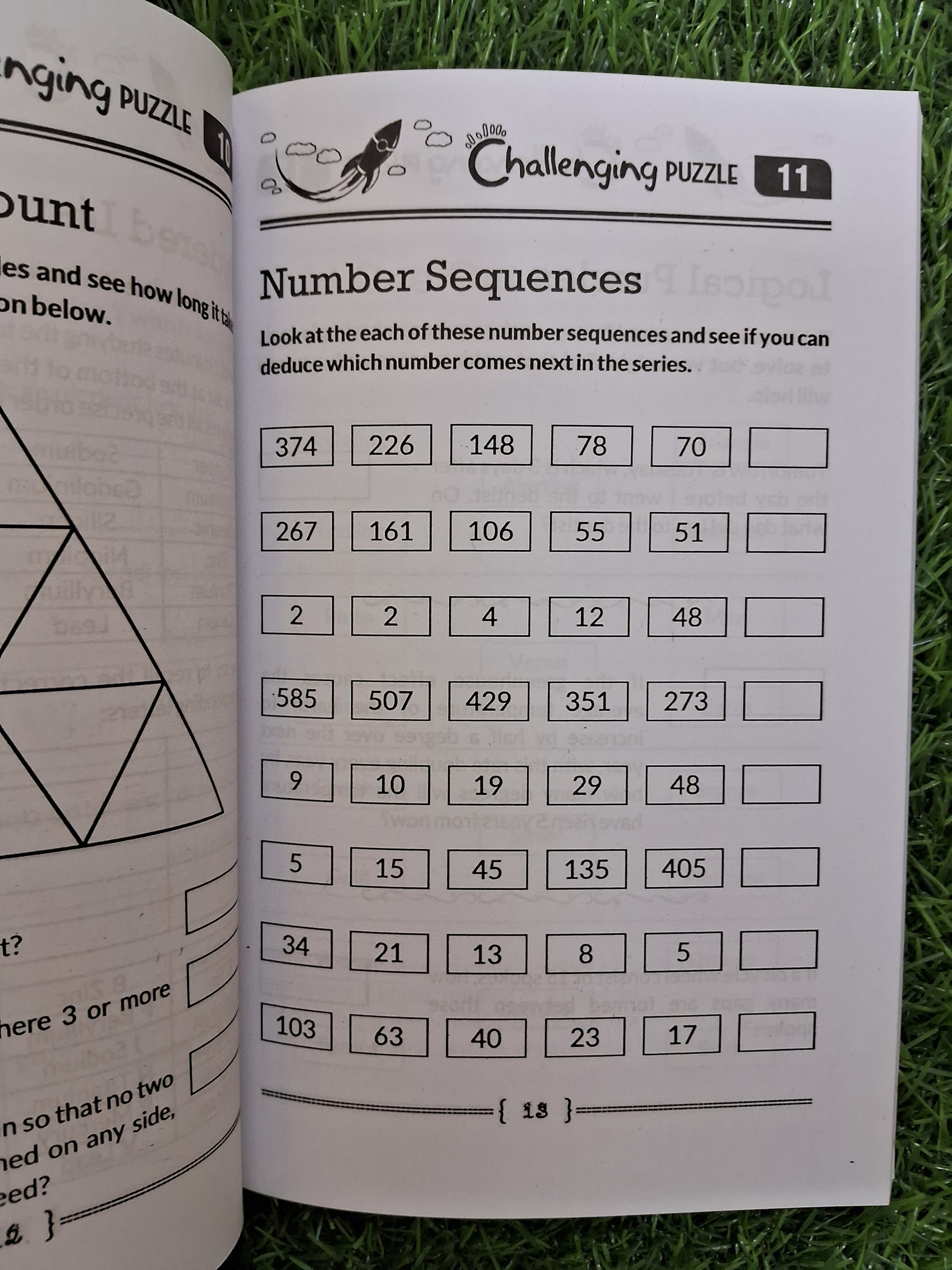 Challenging puzzles - Challenging Books