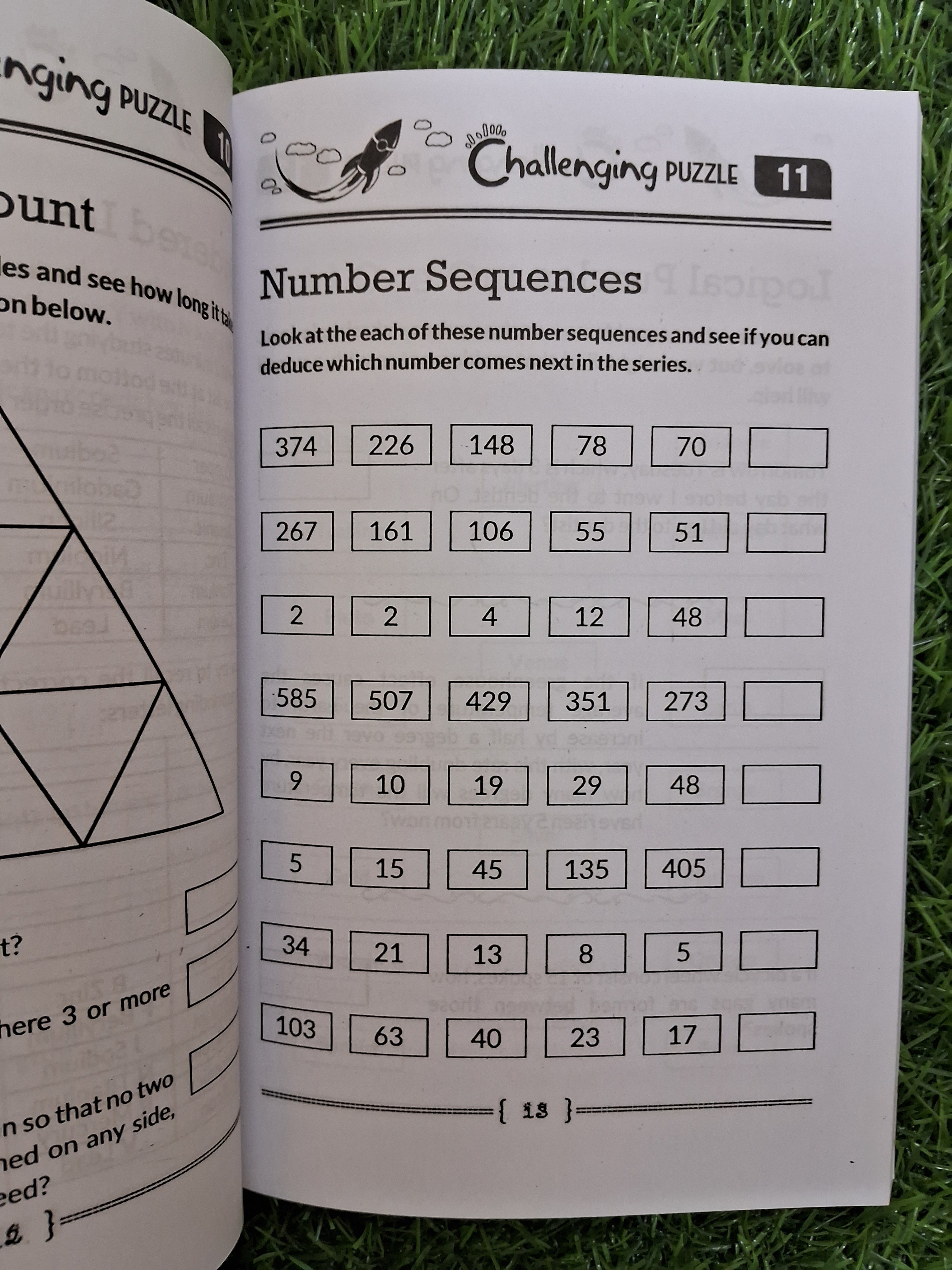 Challenging puzzles - Challenging Books