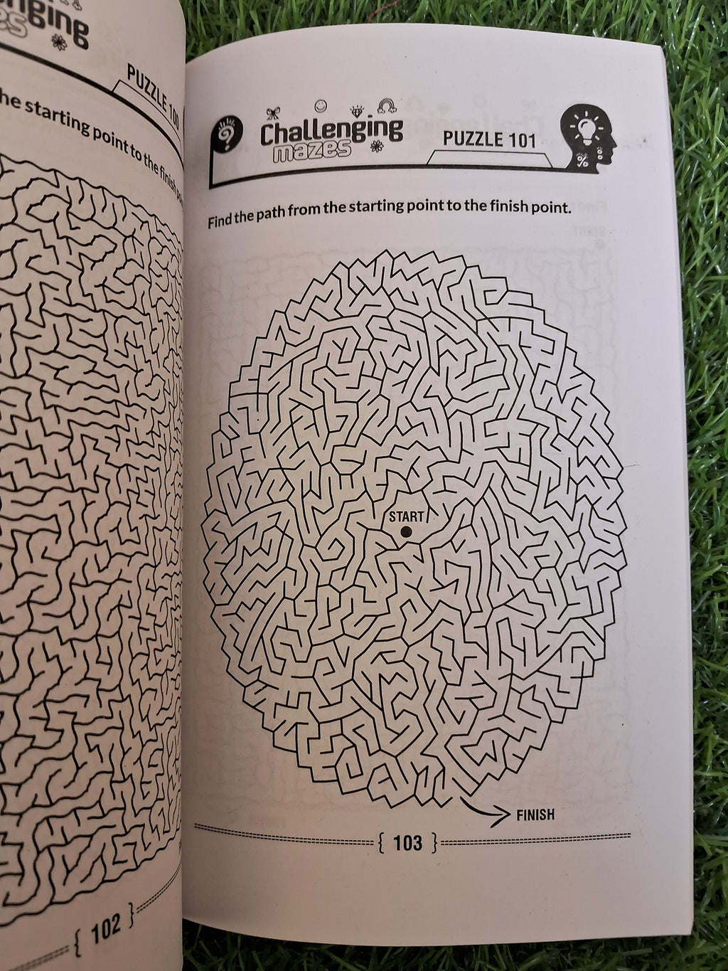 Challenging mazes - Challenging Books