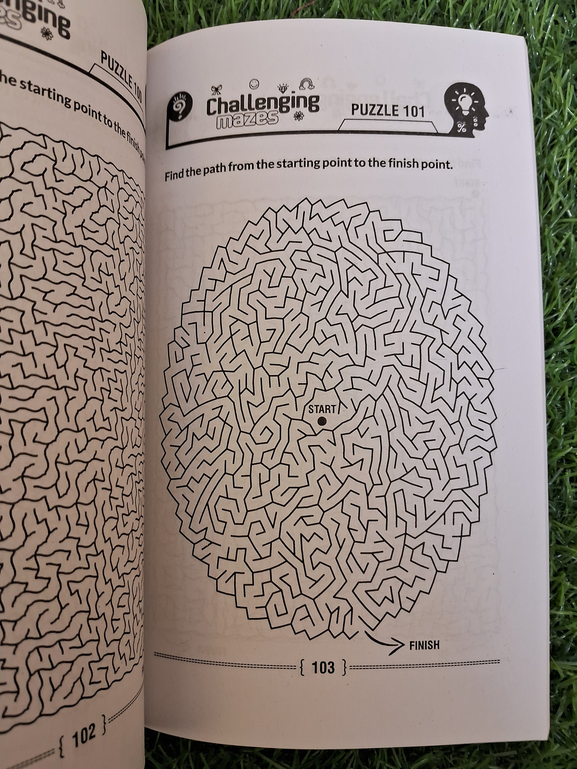 Challenging mazes - Challenging Books