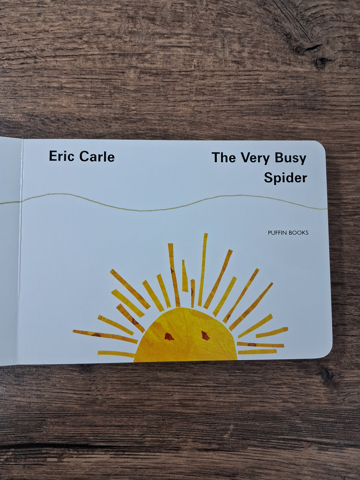THE VERY BUSY SPIDER - Board Book