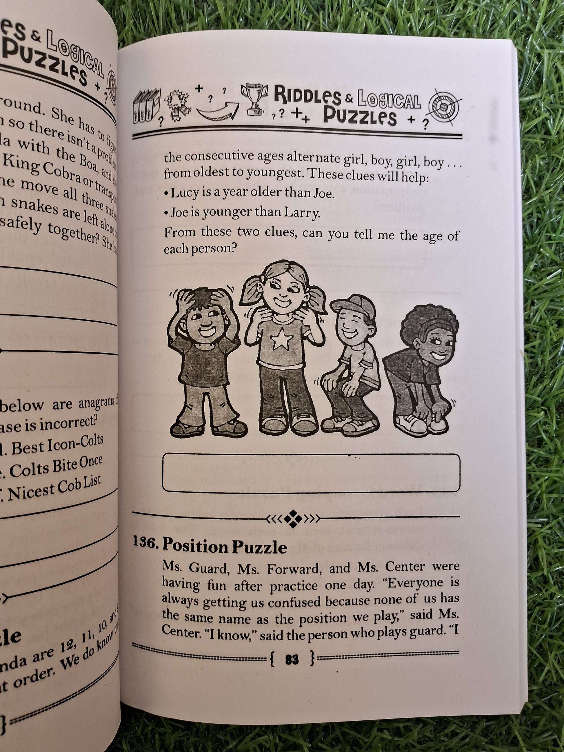 Riddles & logical puzzles - Challenging Books