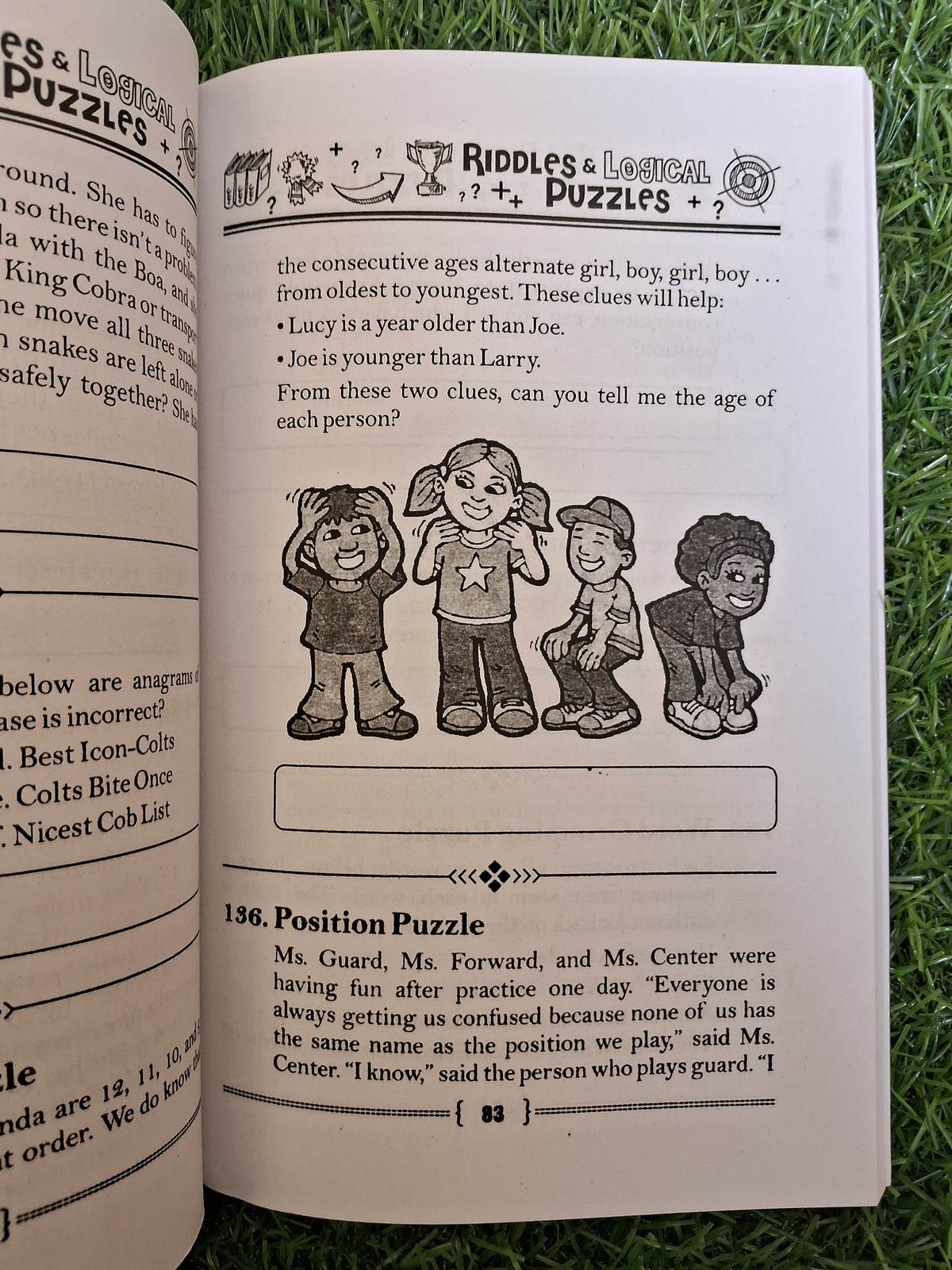 Riddles & logical puzzles - Challenging Books