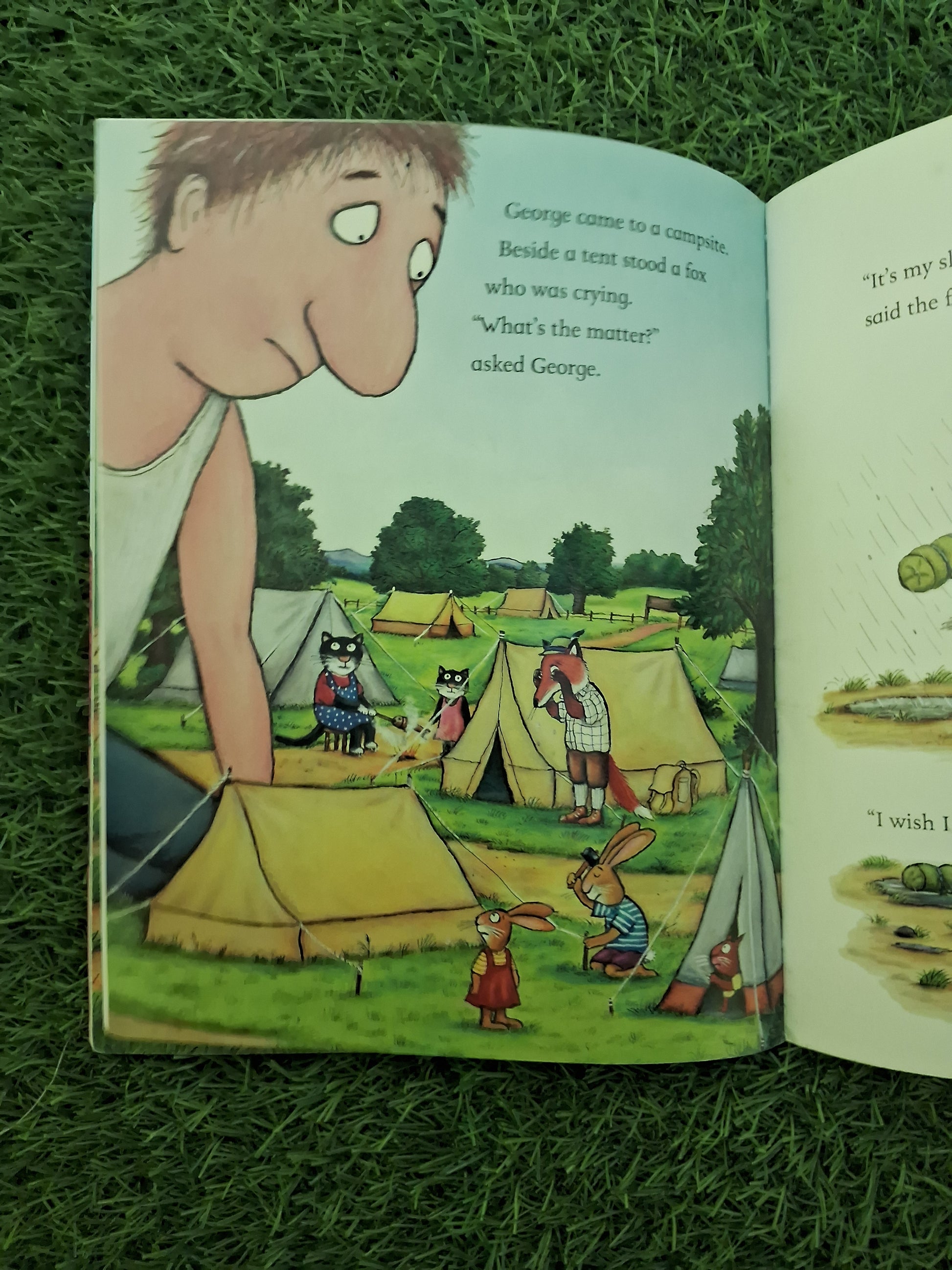 Book of THE SMARTEST GIANT IN TOWN -  Very Good Condition Paperback