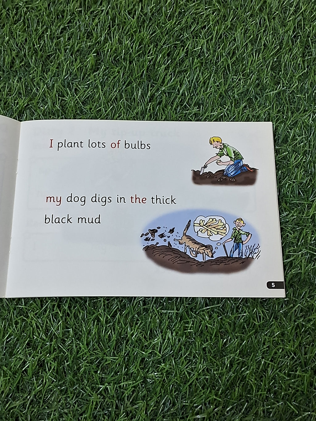 Phonics - In the Mud -  Very Good Condition Paperback