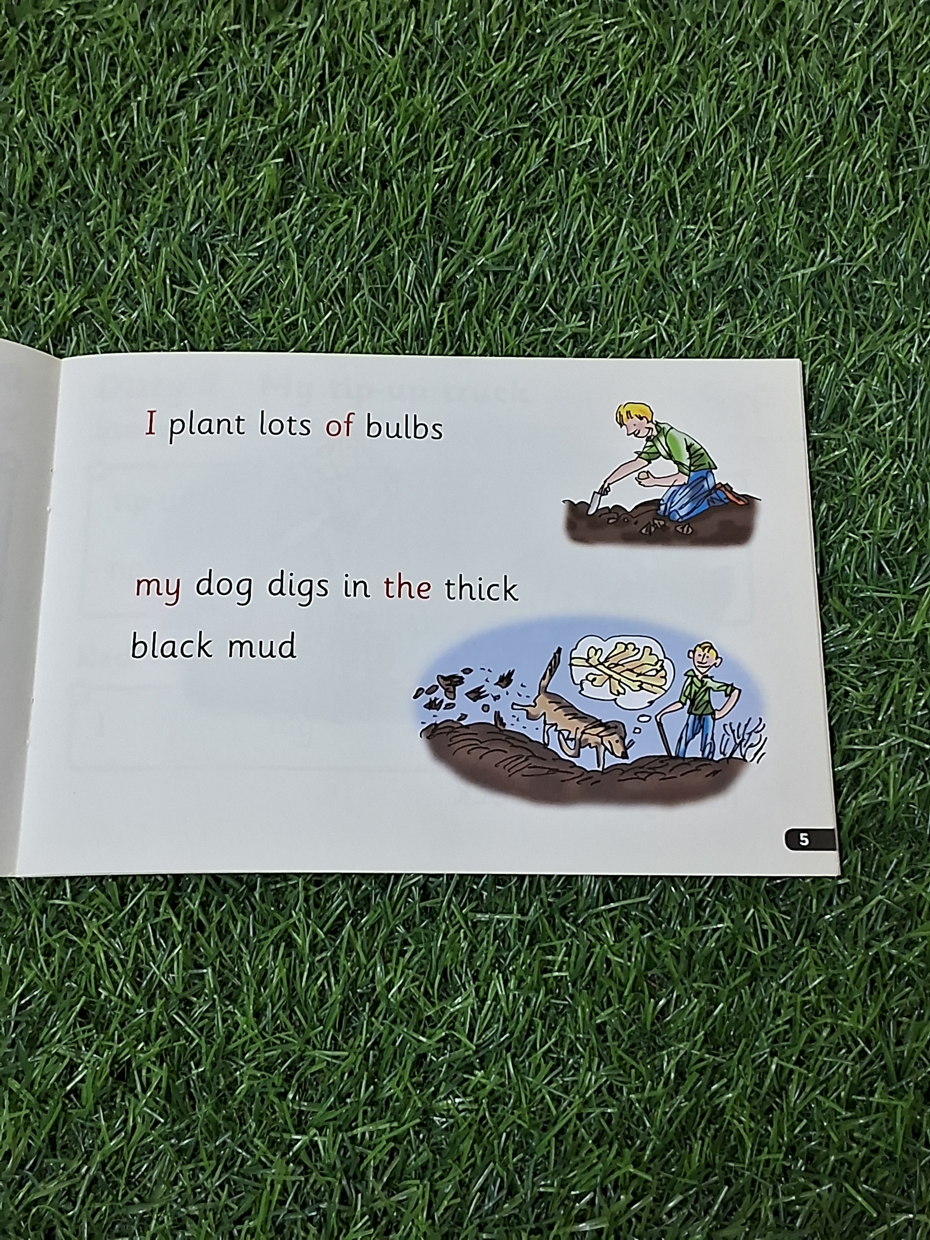 Phonics - In the Mud -  Very Good Condition Paperback