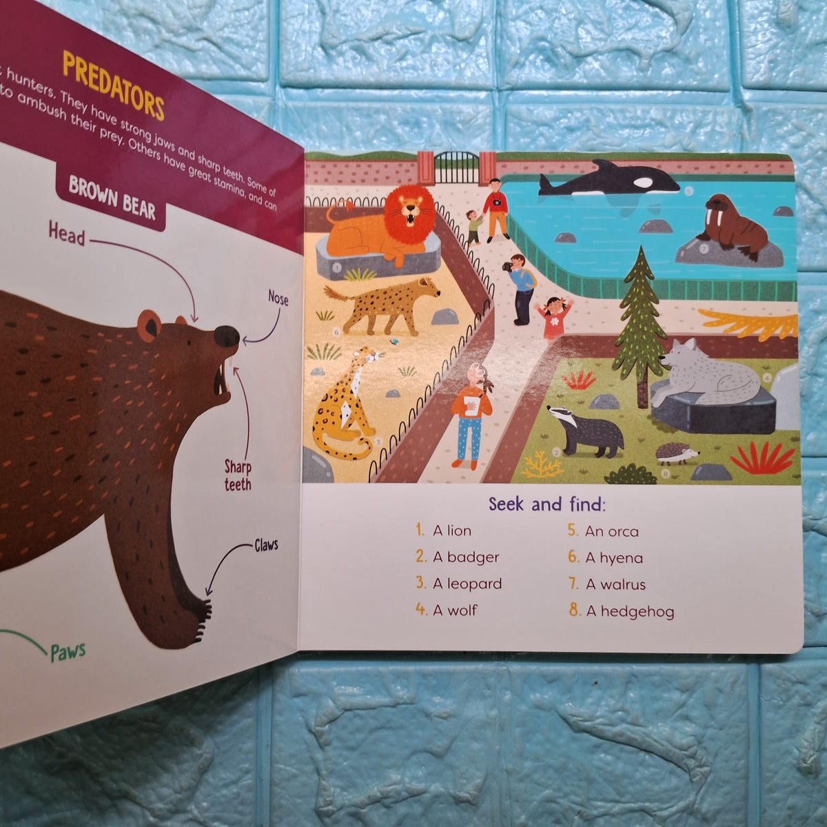 Visual Dictionary: Animals - Clearance