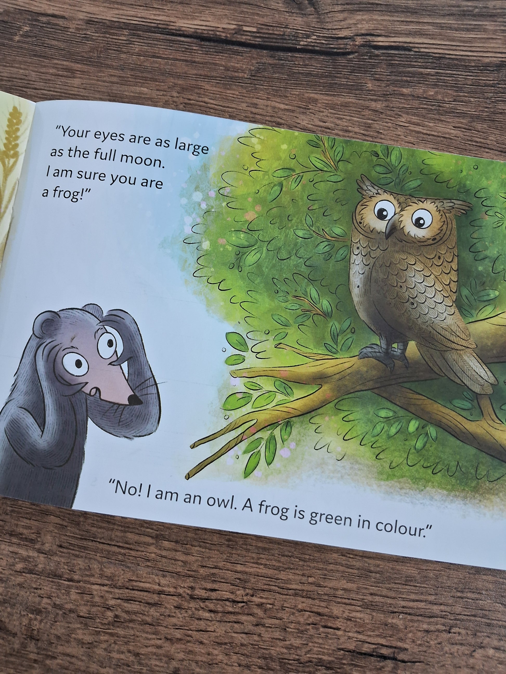 Baby Mangoose Goes looking for a Frog - English - Pratham - Level1