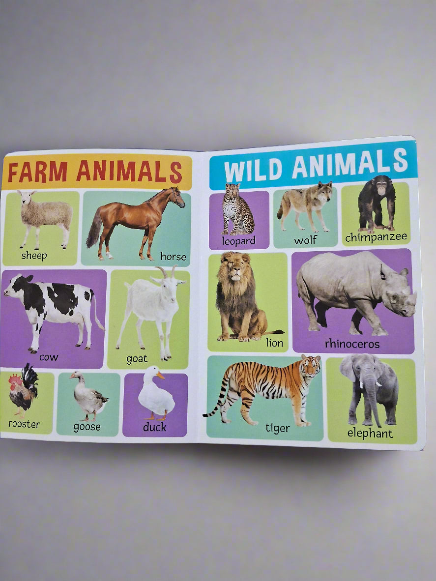 My First 100 Animals Board Book
