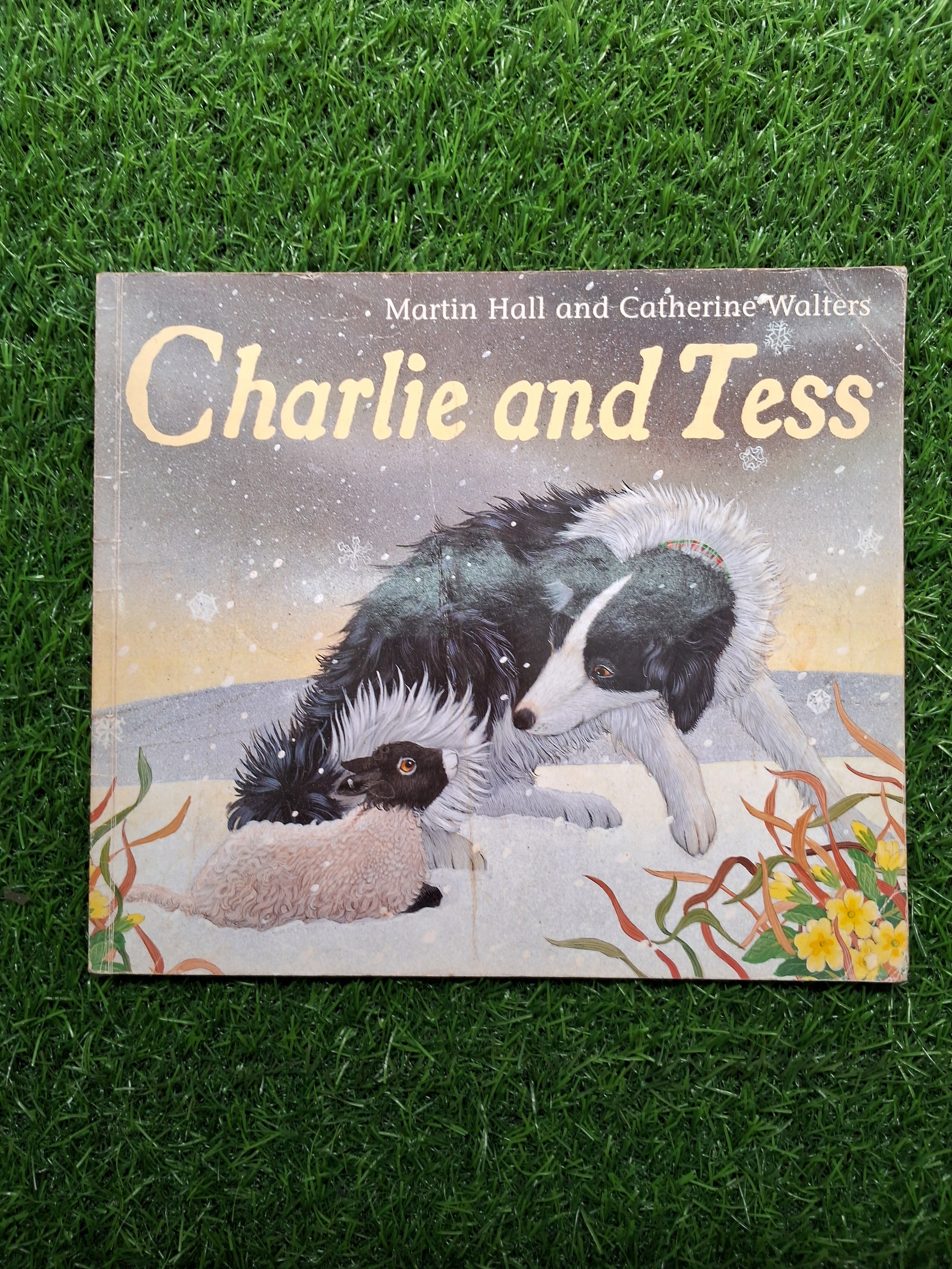 Charlie and tess -  Good Condition Paperback