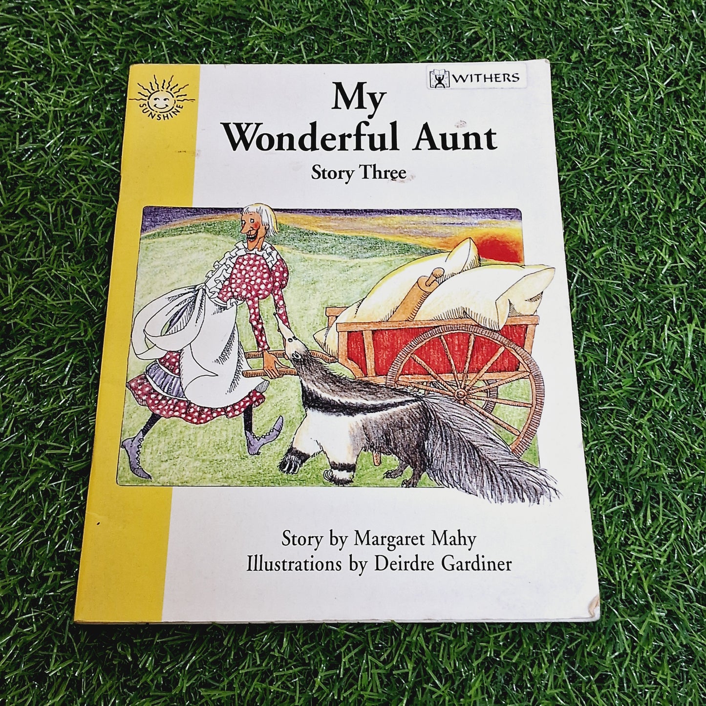 My wonderful aunt - Good Condition Paperback