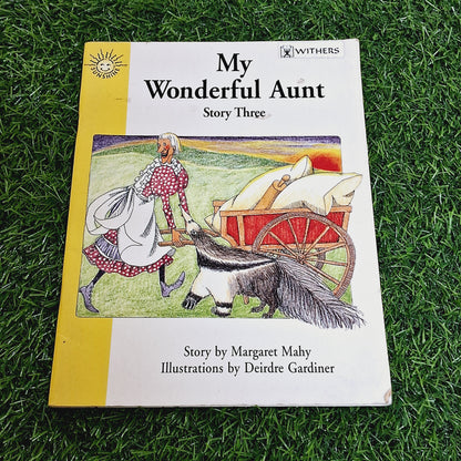 My wonderful aunt - Good Condition Paperback