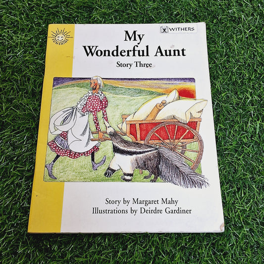 My wonderful aunt - Good Condition Paperback