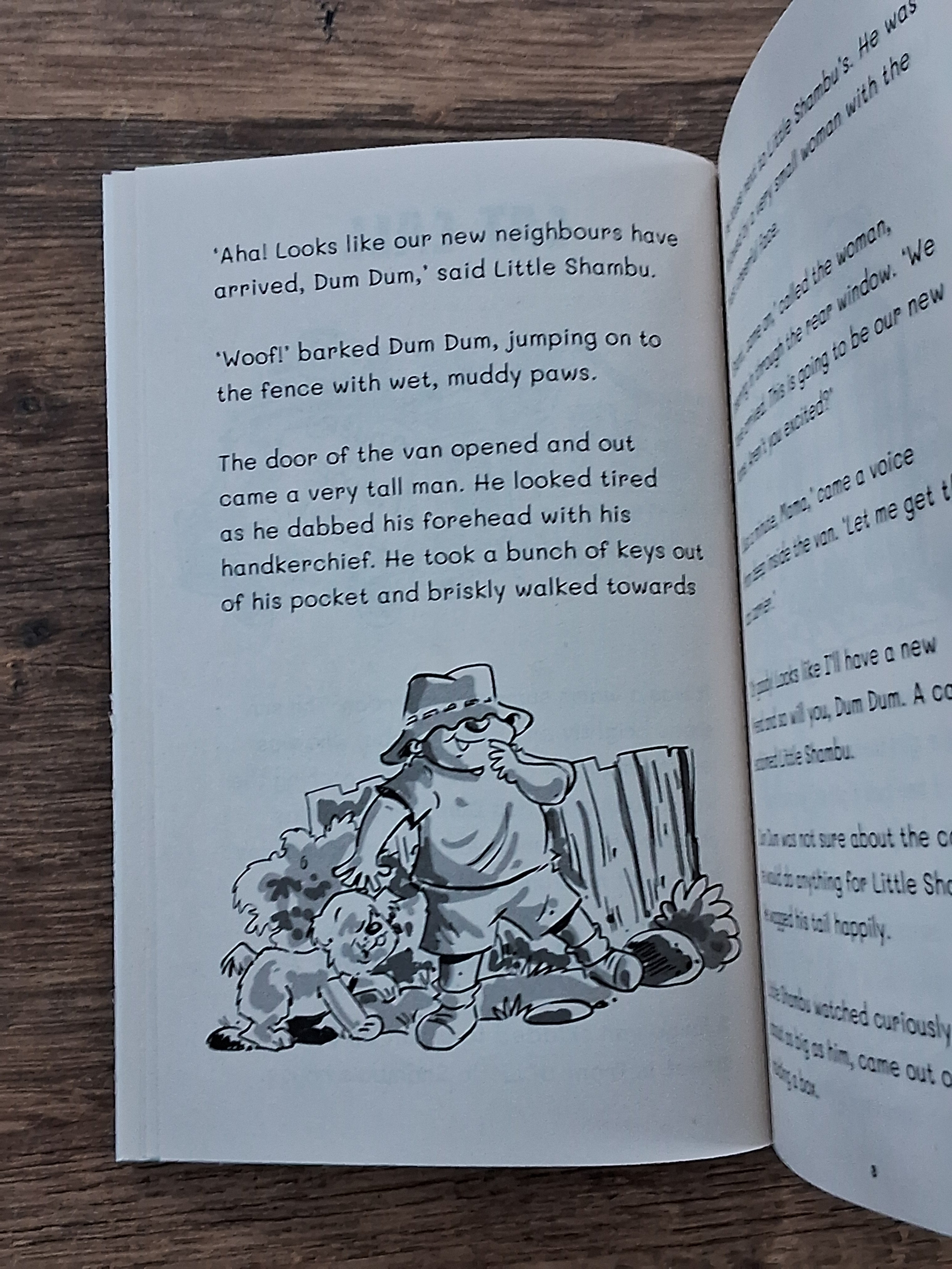 Adventures of Little Shambu - a set of 3 books