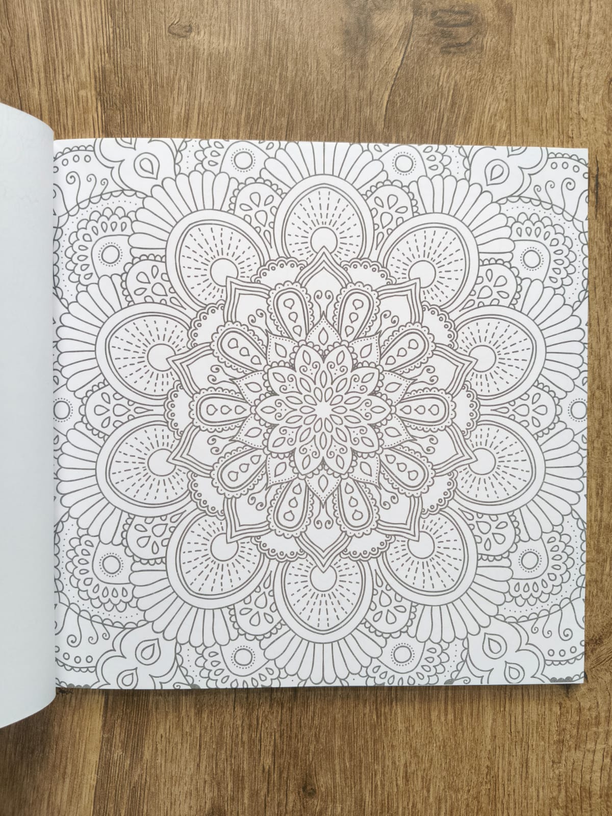 Grown Ups Colouring Book