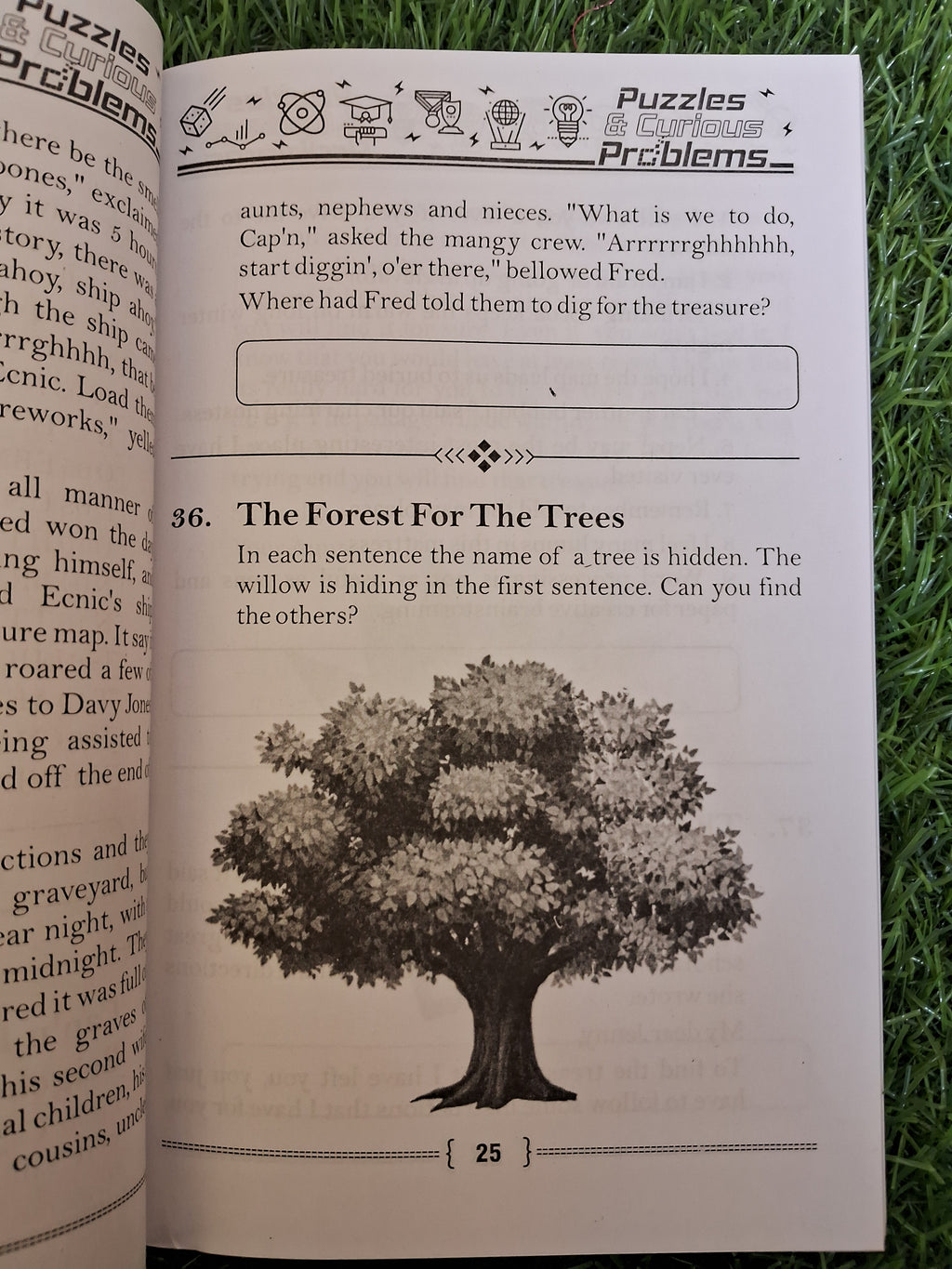 Puzzles & curious problems - Challenging Books