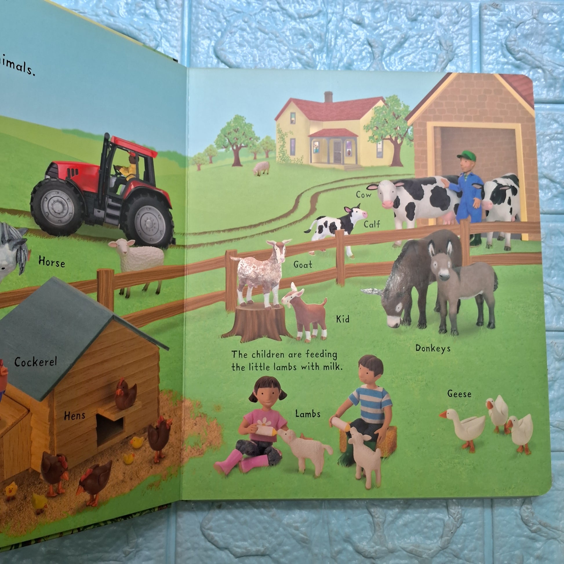 Usborne First Picture Animals - Big Board Book - Excellent Condition