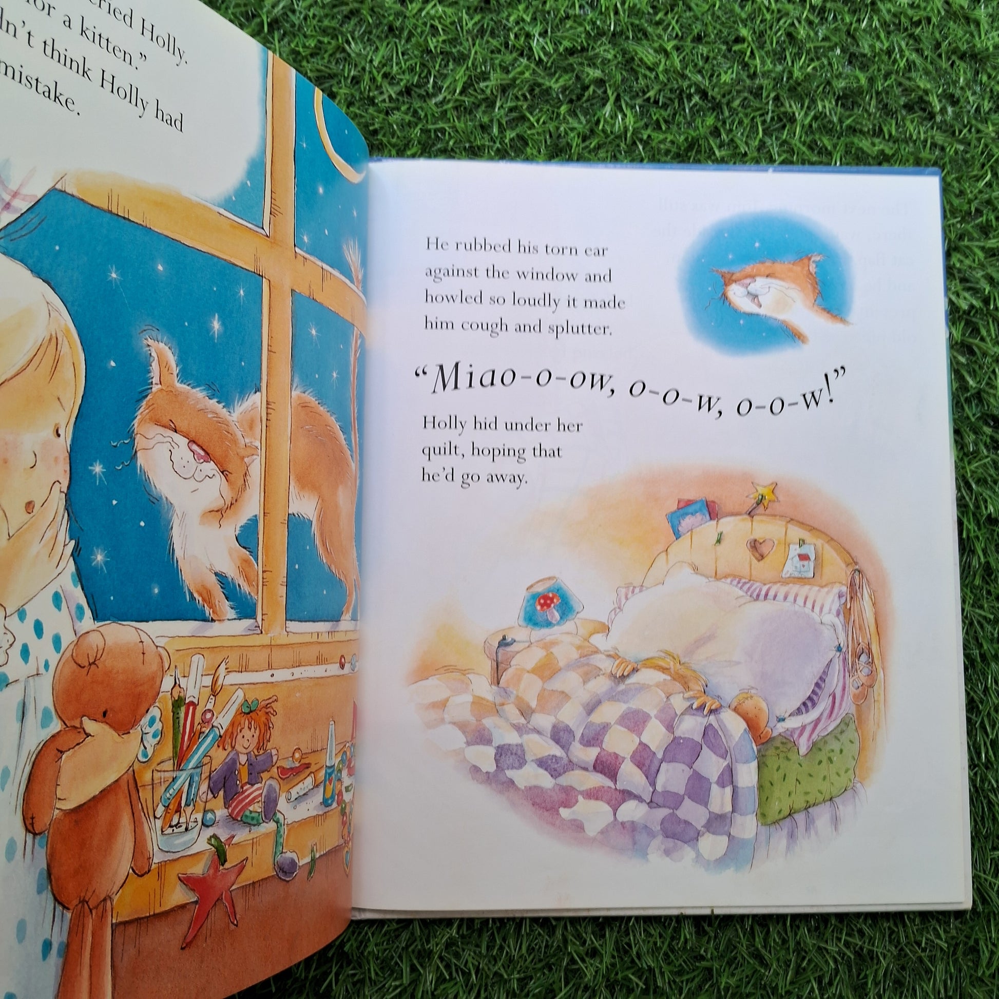 The wish cat - Very Good Condition Hardcover
