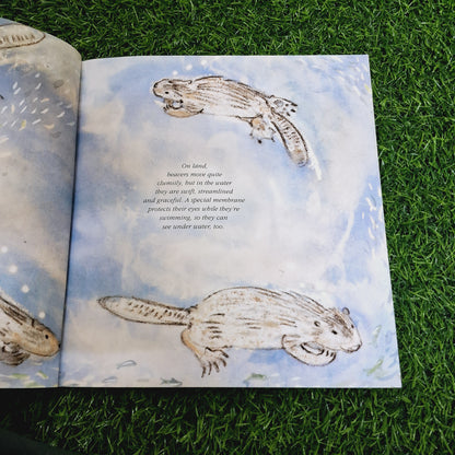 Think of a Beaver - Very Good Condition Paperback