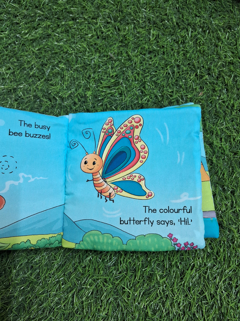 Baby's First Flying Animals (Cloth Book)