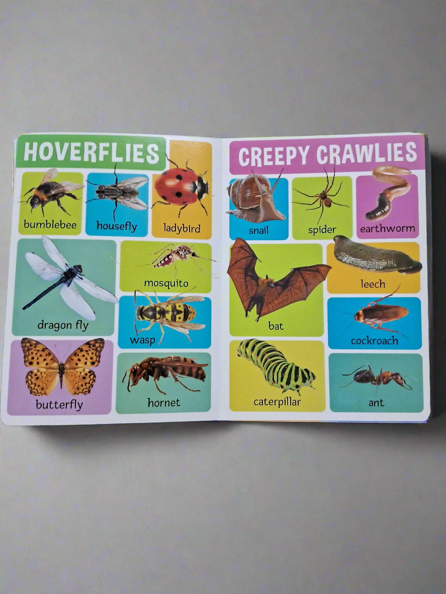 My First 100 Animals Board Book