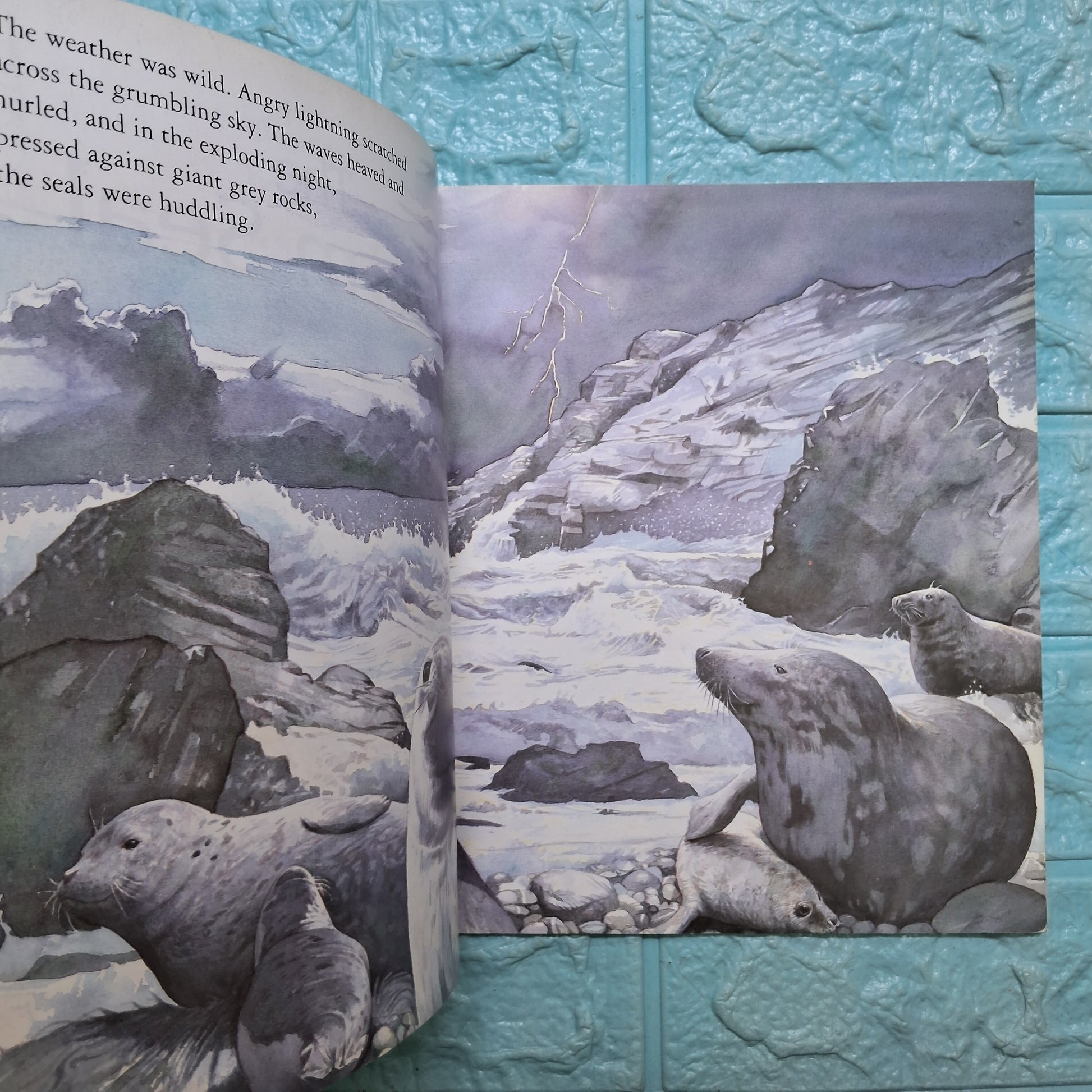 The Storm Seal - Good Condition Paperback