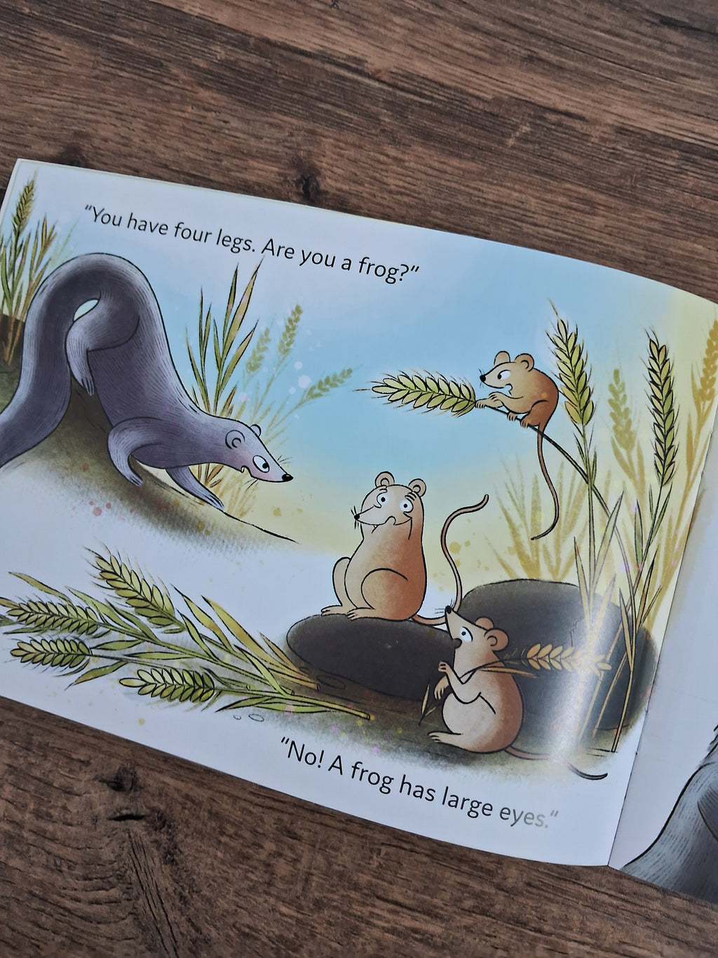 Baby Mangoose Goes looking for a Frog - English - Pratham - Level1