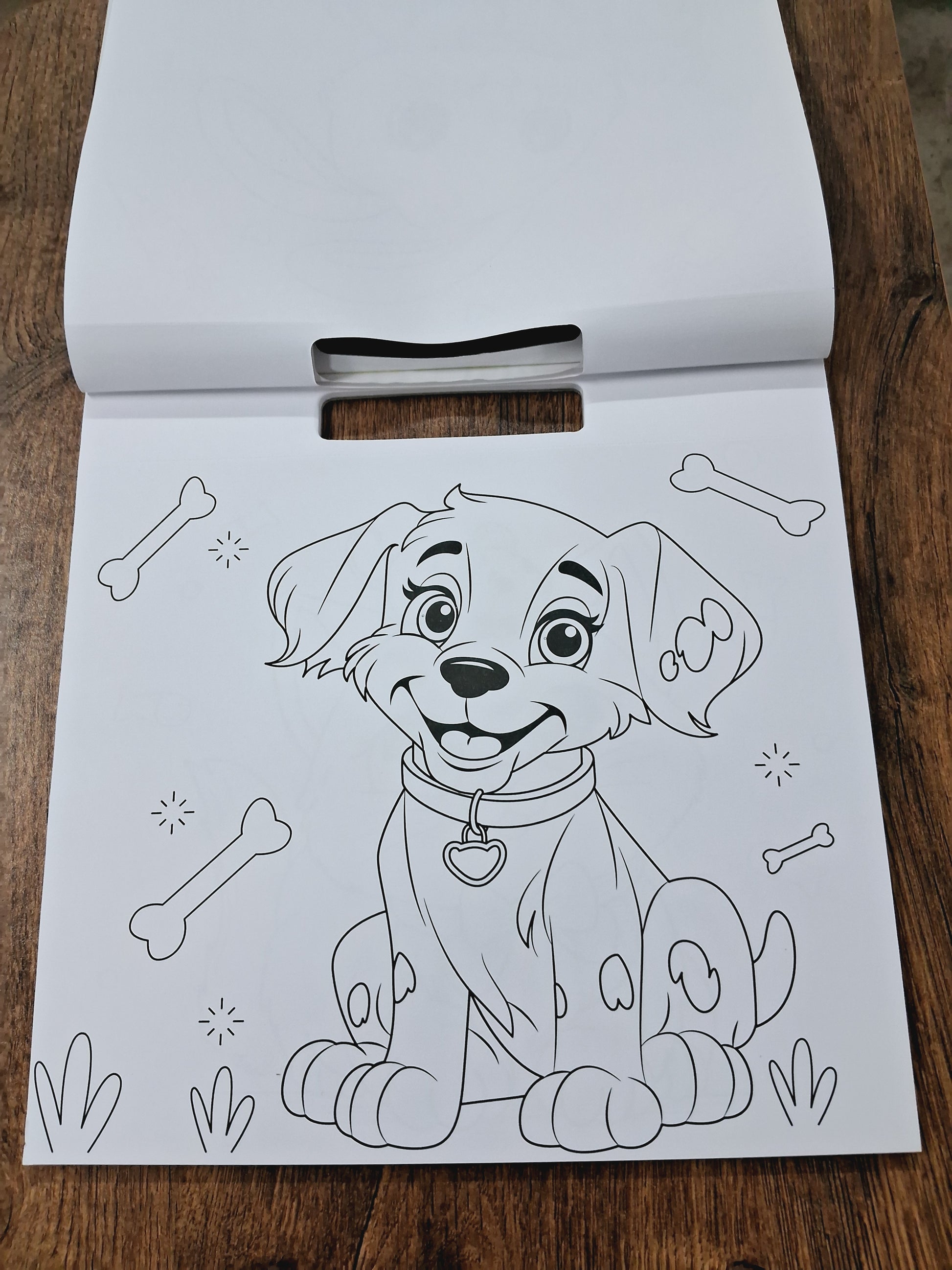 Animals and Birds Colouring Pad (100 Stickers included)