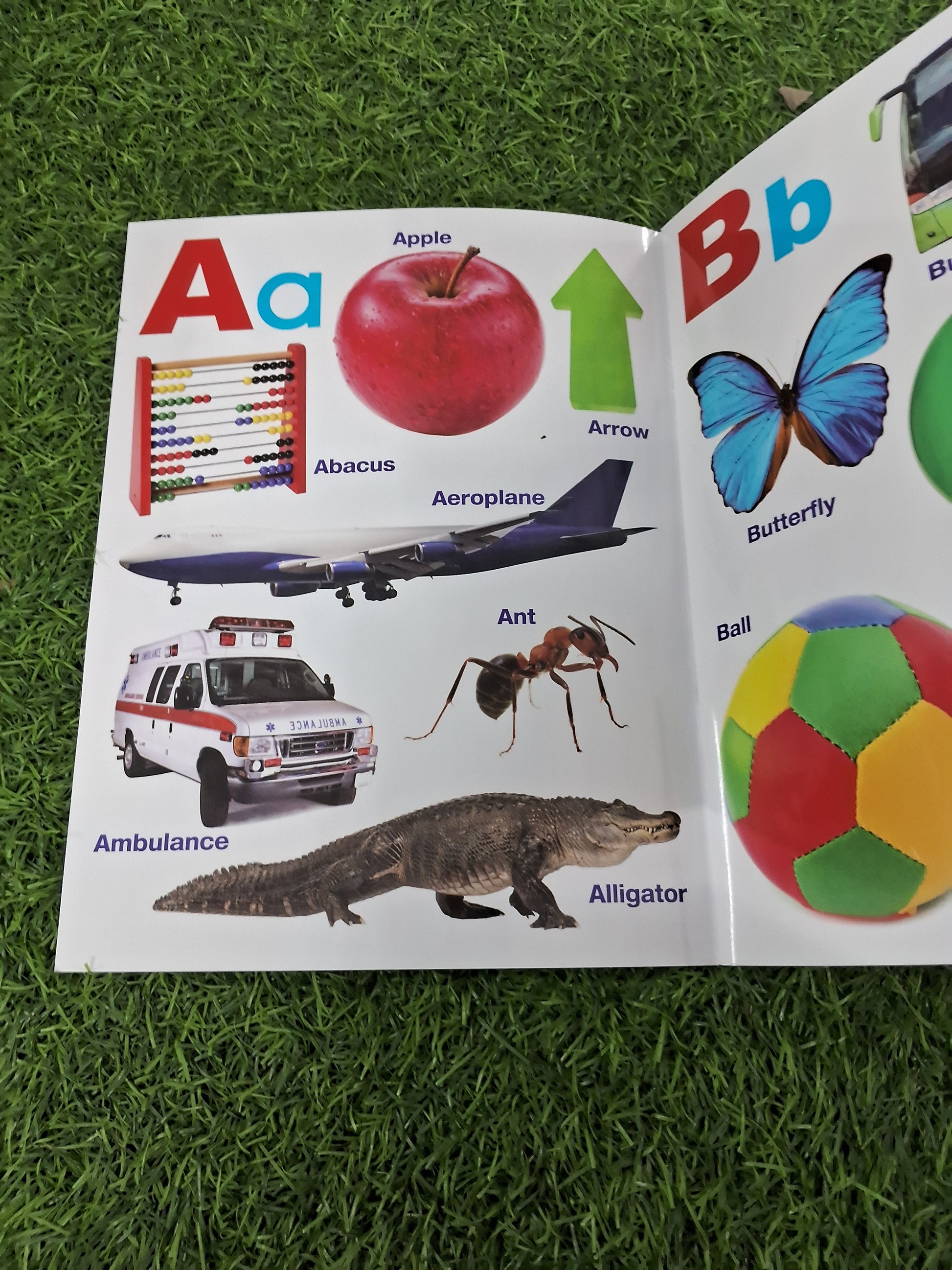 MY FIRST BOOK OF ALPHABET - Large Paperback- TearProof