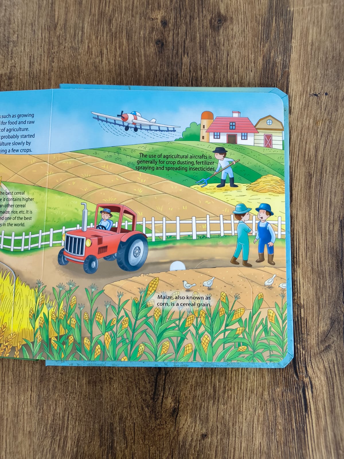 Lift a Flap -  On the Farm