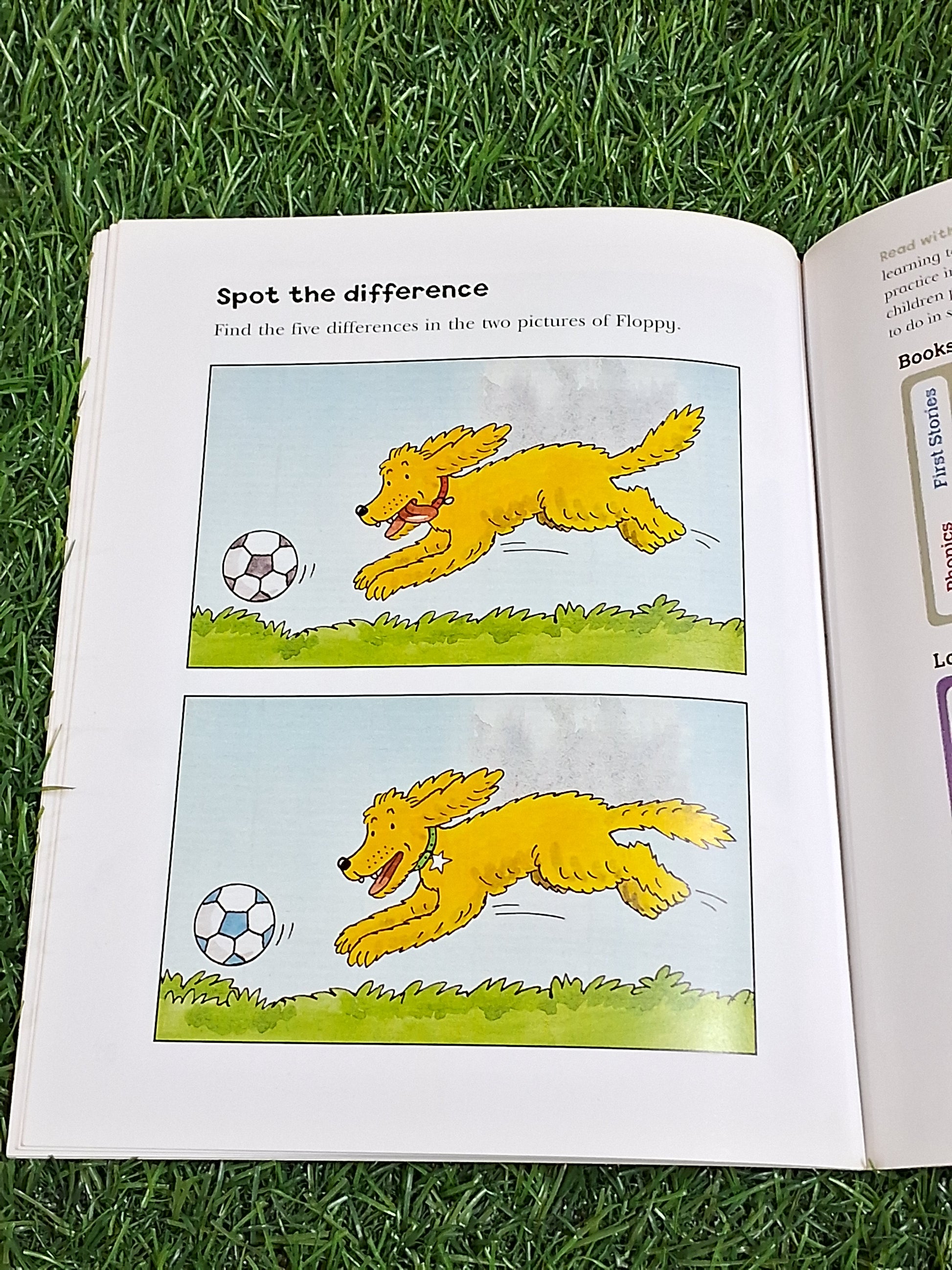 READ WITH BIFF CHIP & KIPPER - FLOPPY'S FUN PHONICS - Excellent Condition Paperback