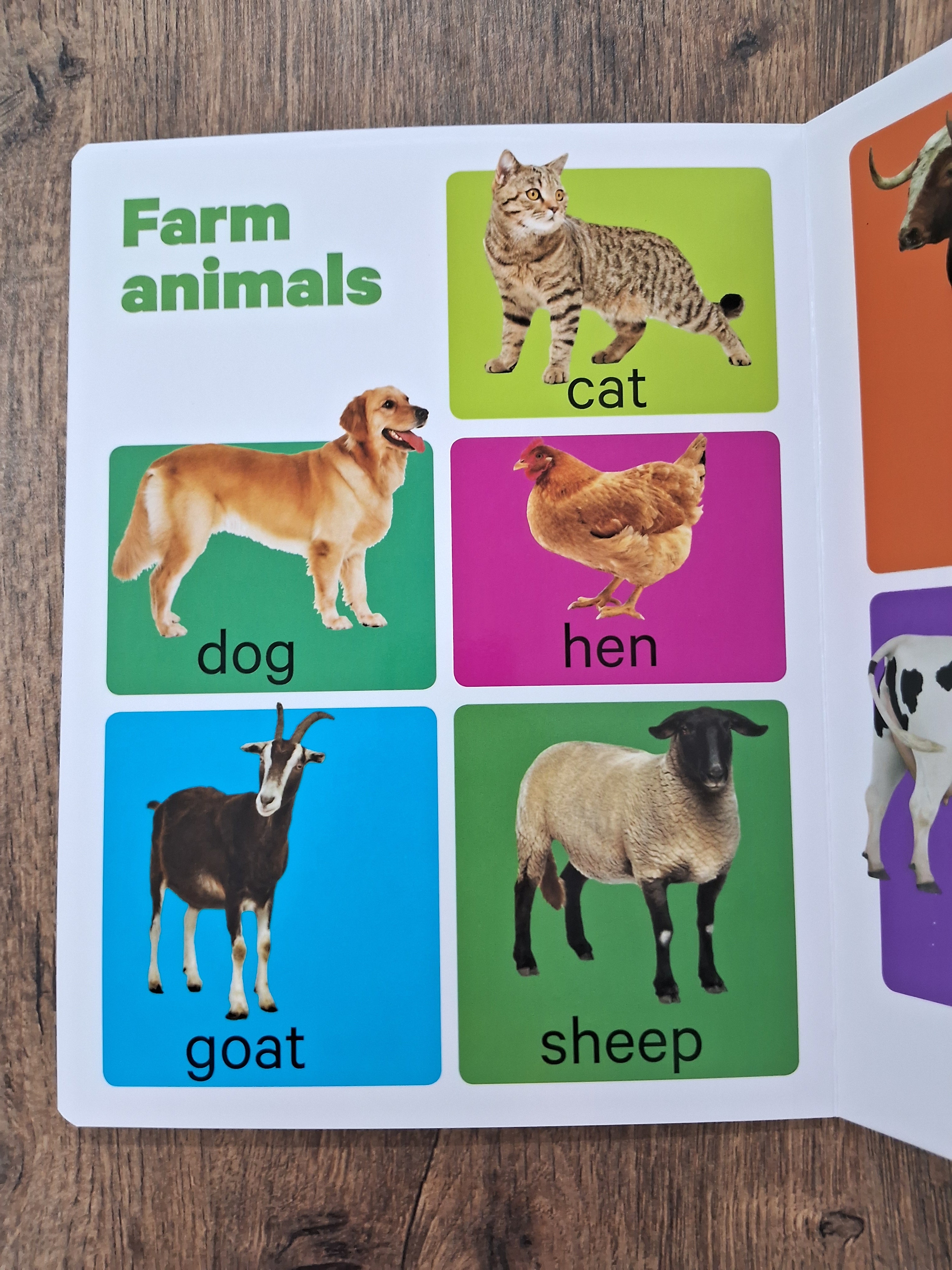 Animals - Big Board Book