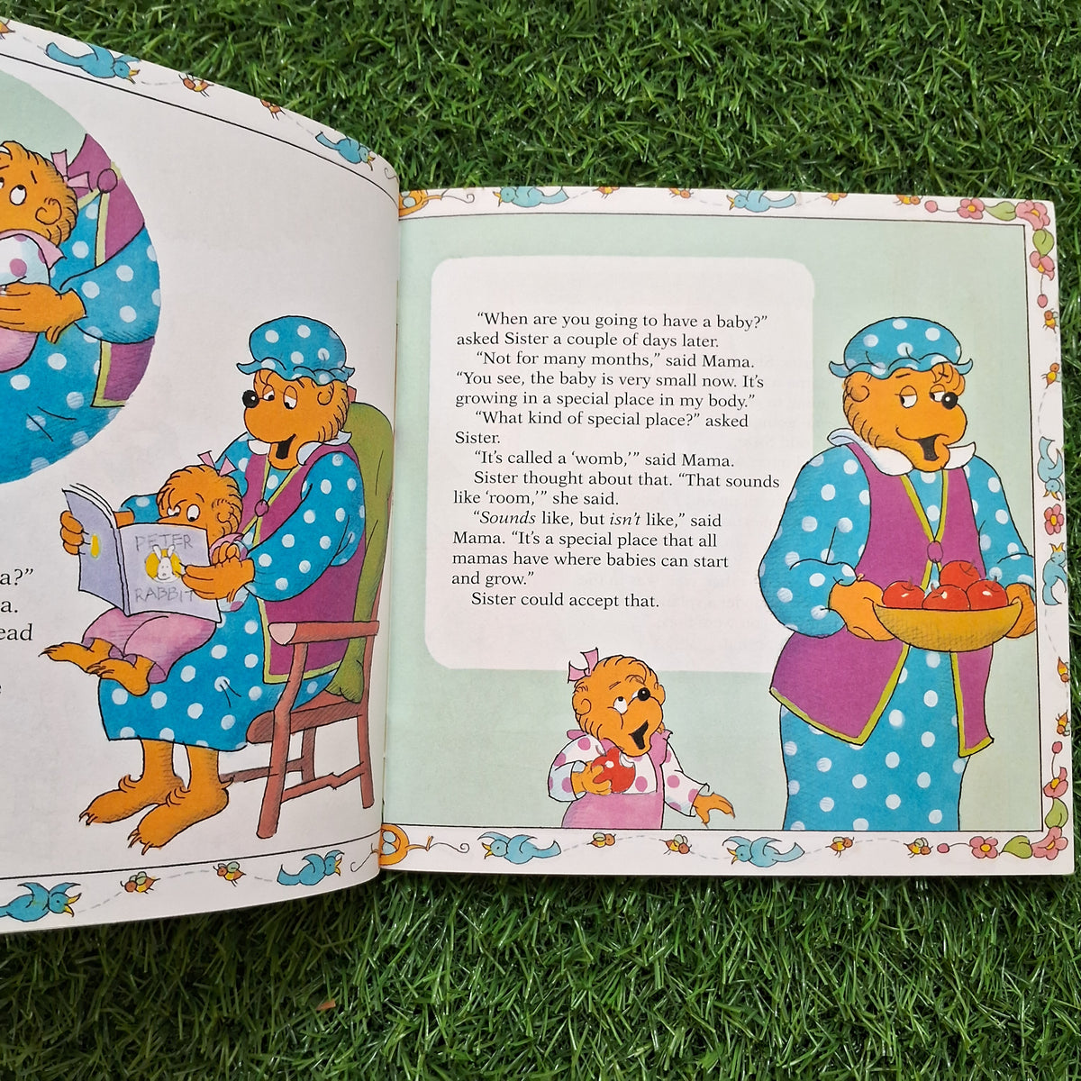 The Birds the bees and the berenstain bears - Good Condition Paperback