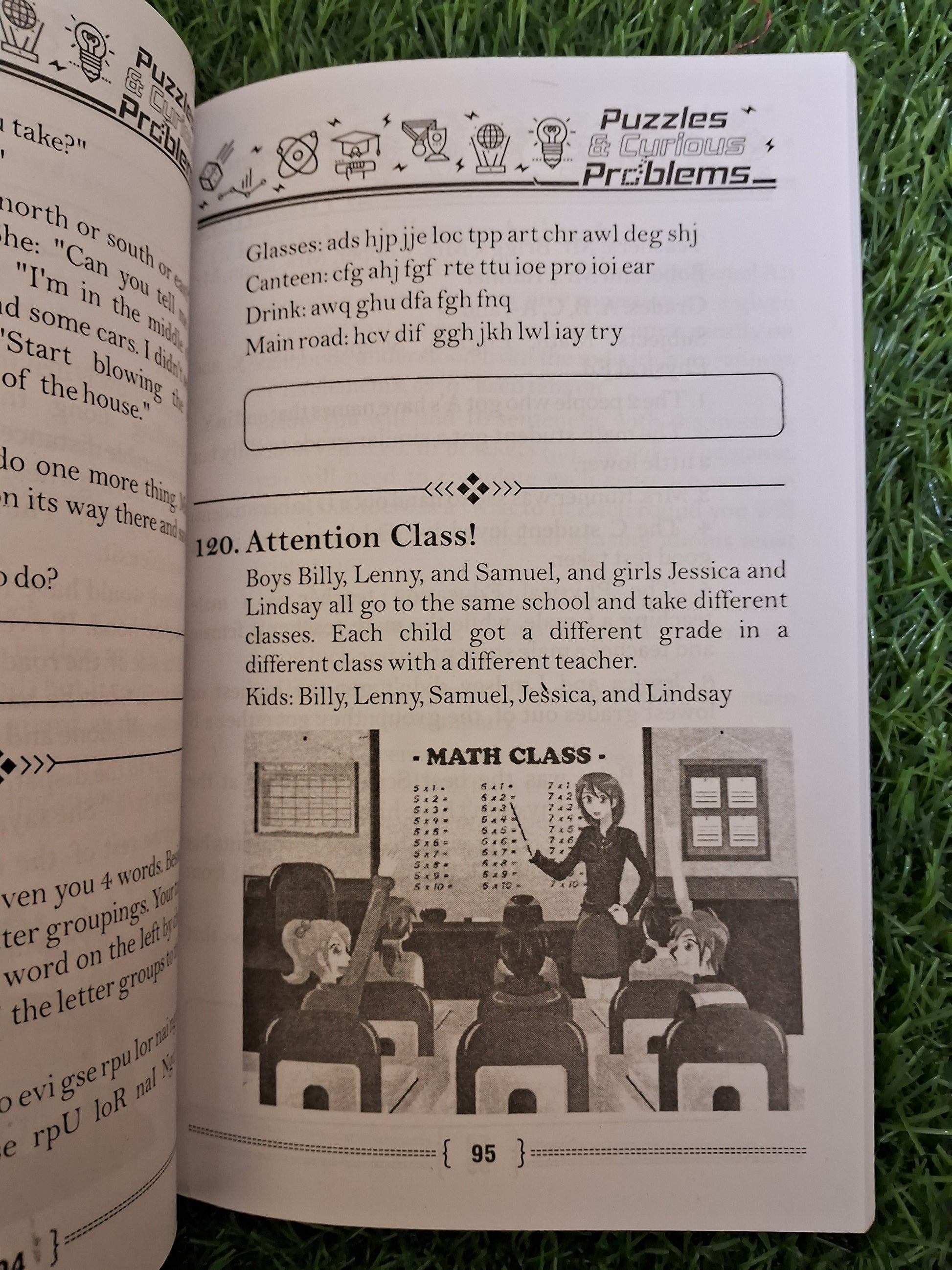 Puzzles & curious problems - Challenging Books