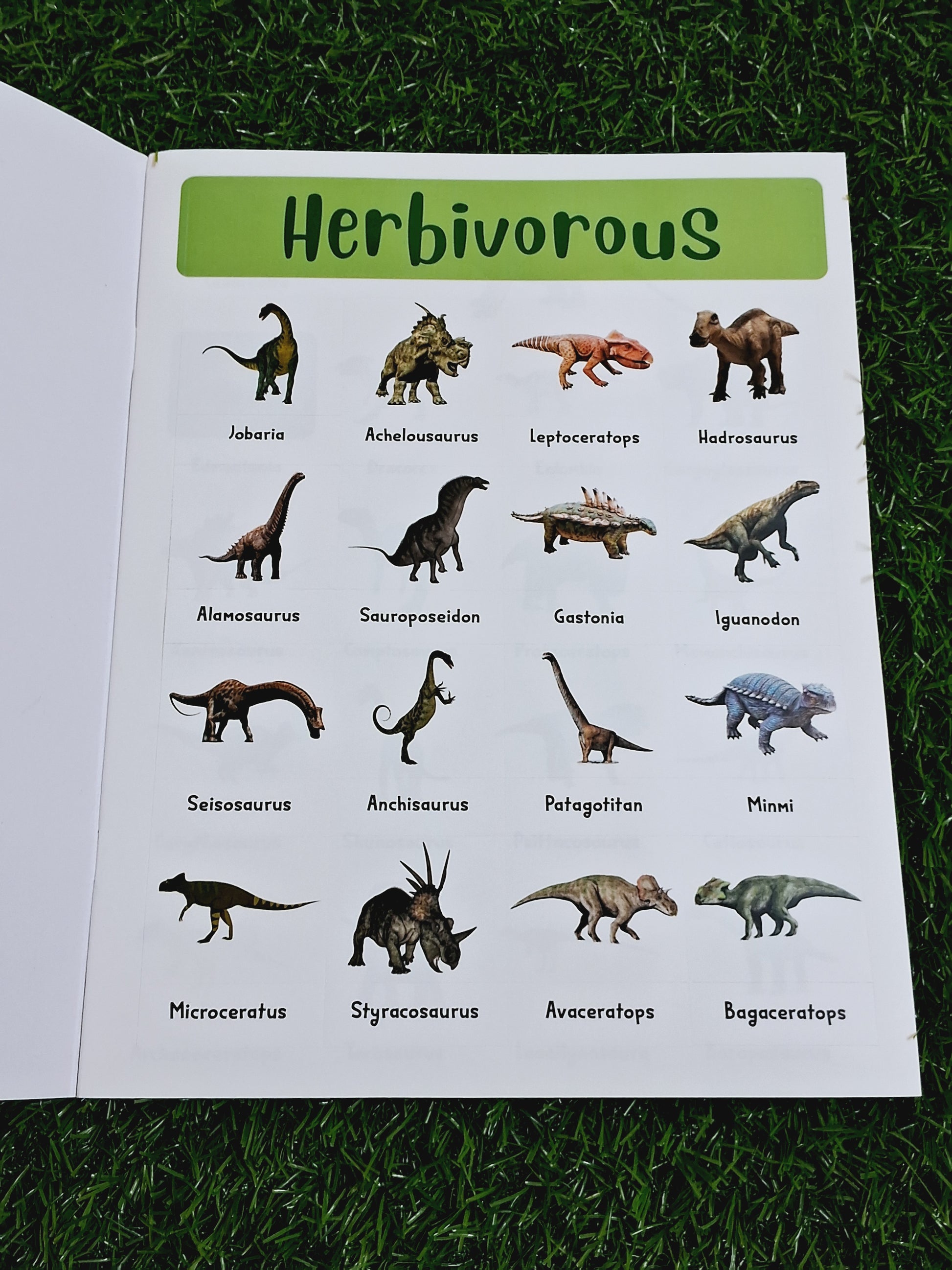 400+ Dinosaurs Stickers