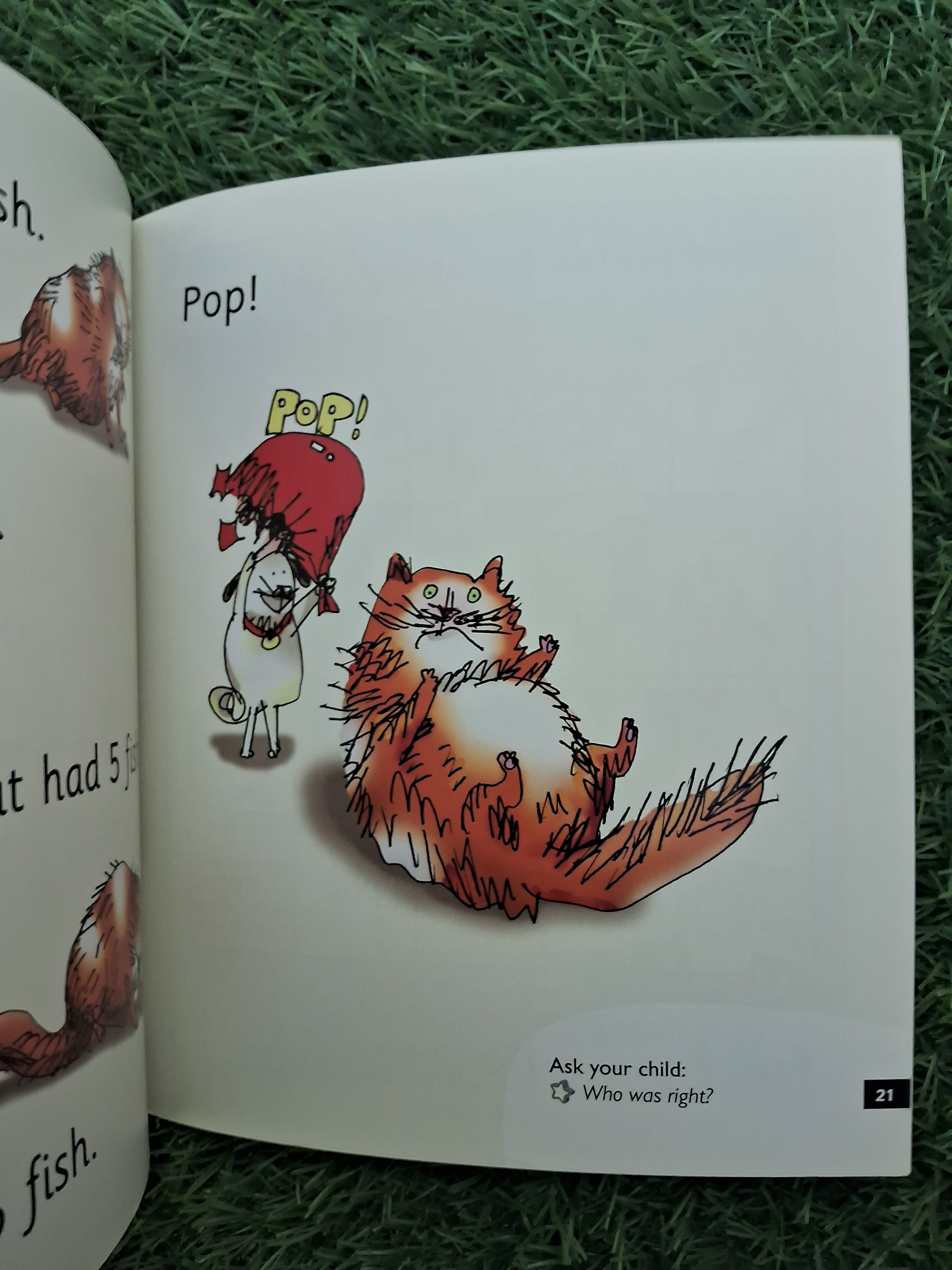 READ WRITE INC PHONICS - MY DOG NED - Excellent Condition Paperback
